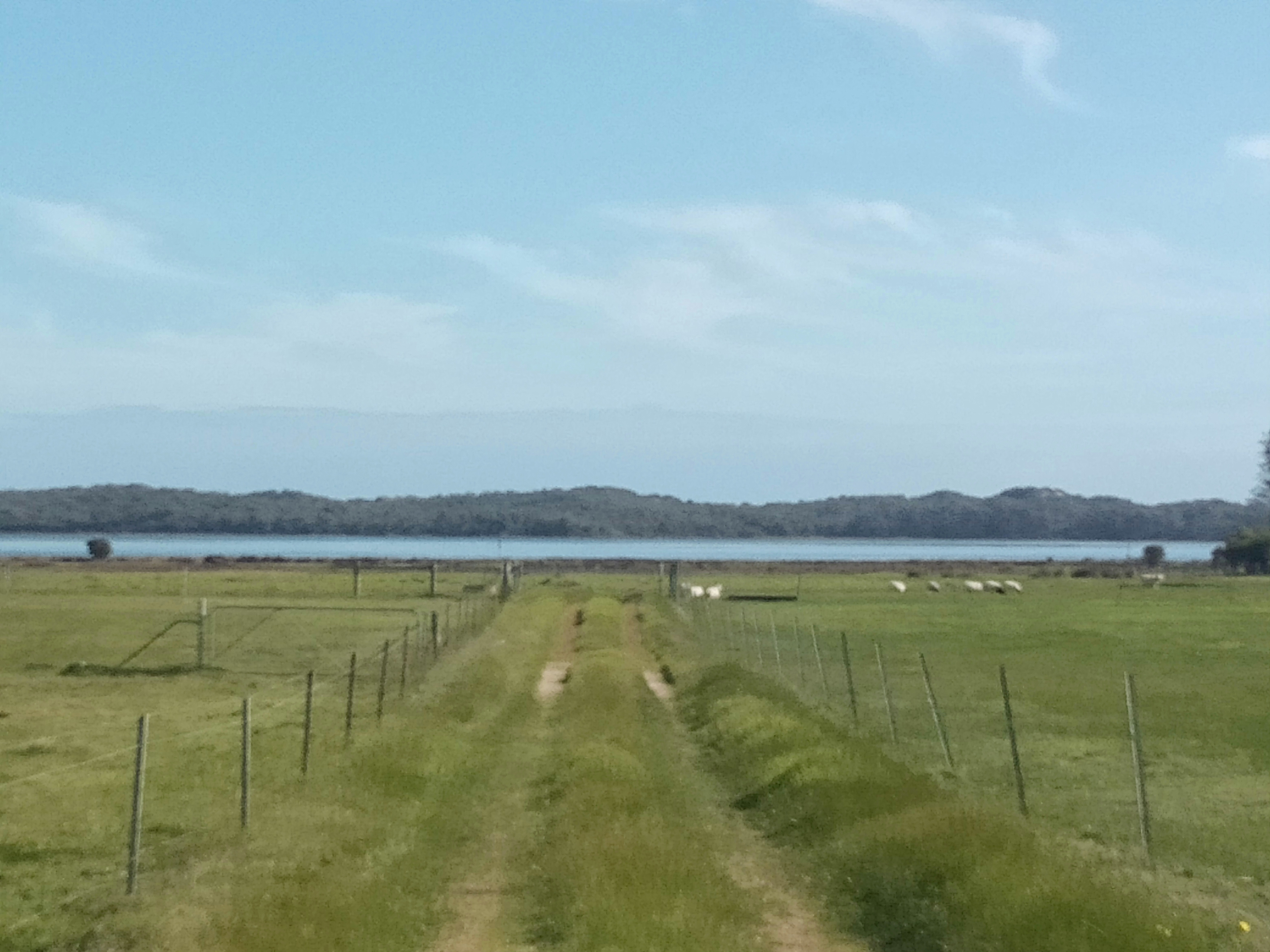 A country feel , close to town