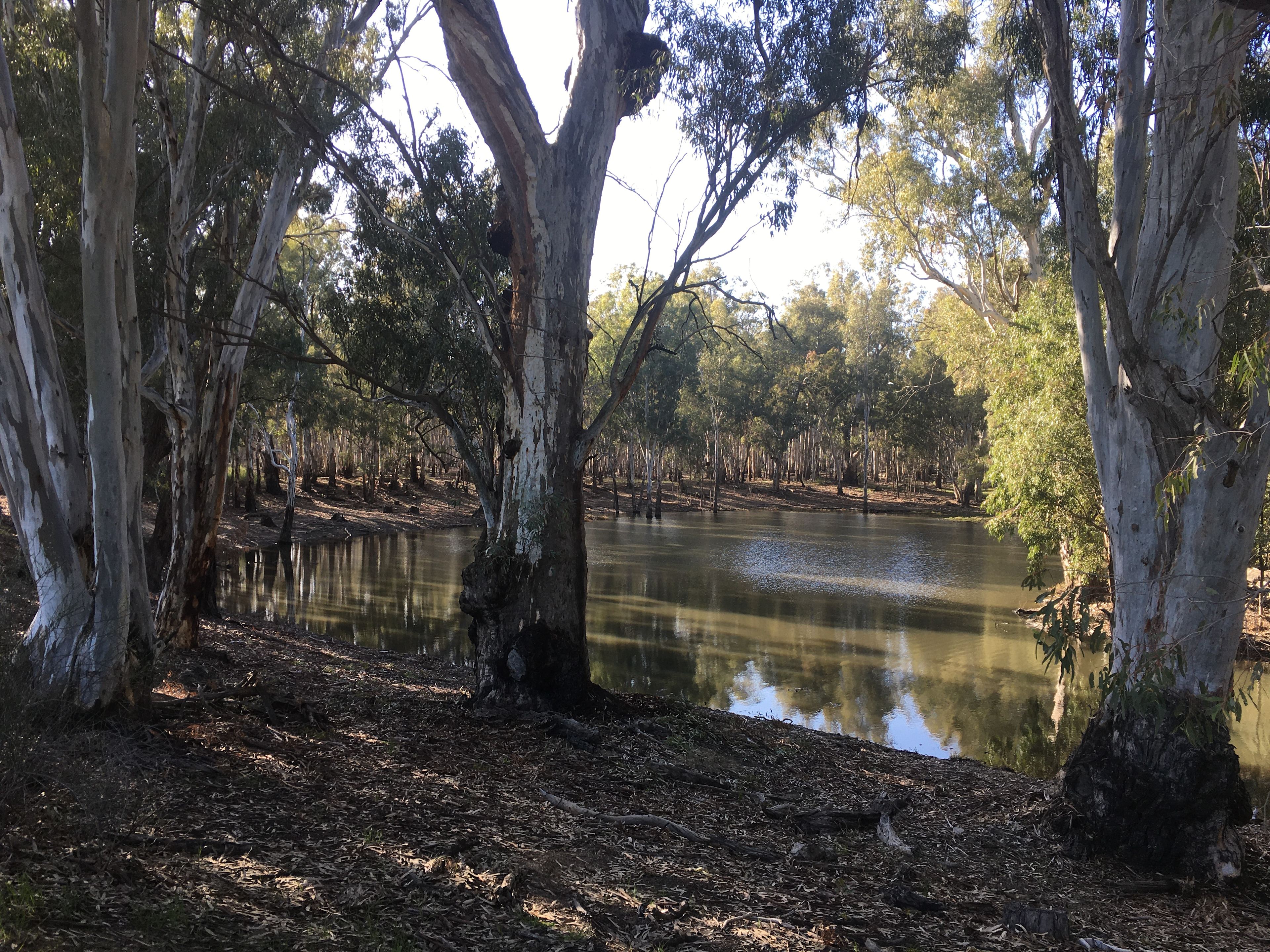 Backwater creek at its finest!