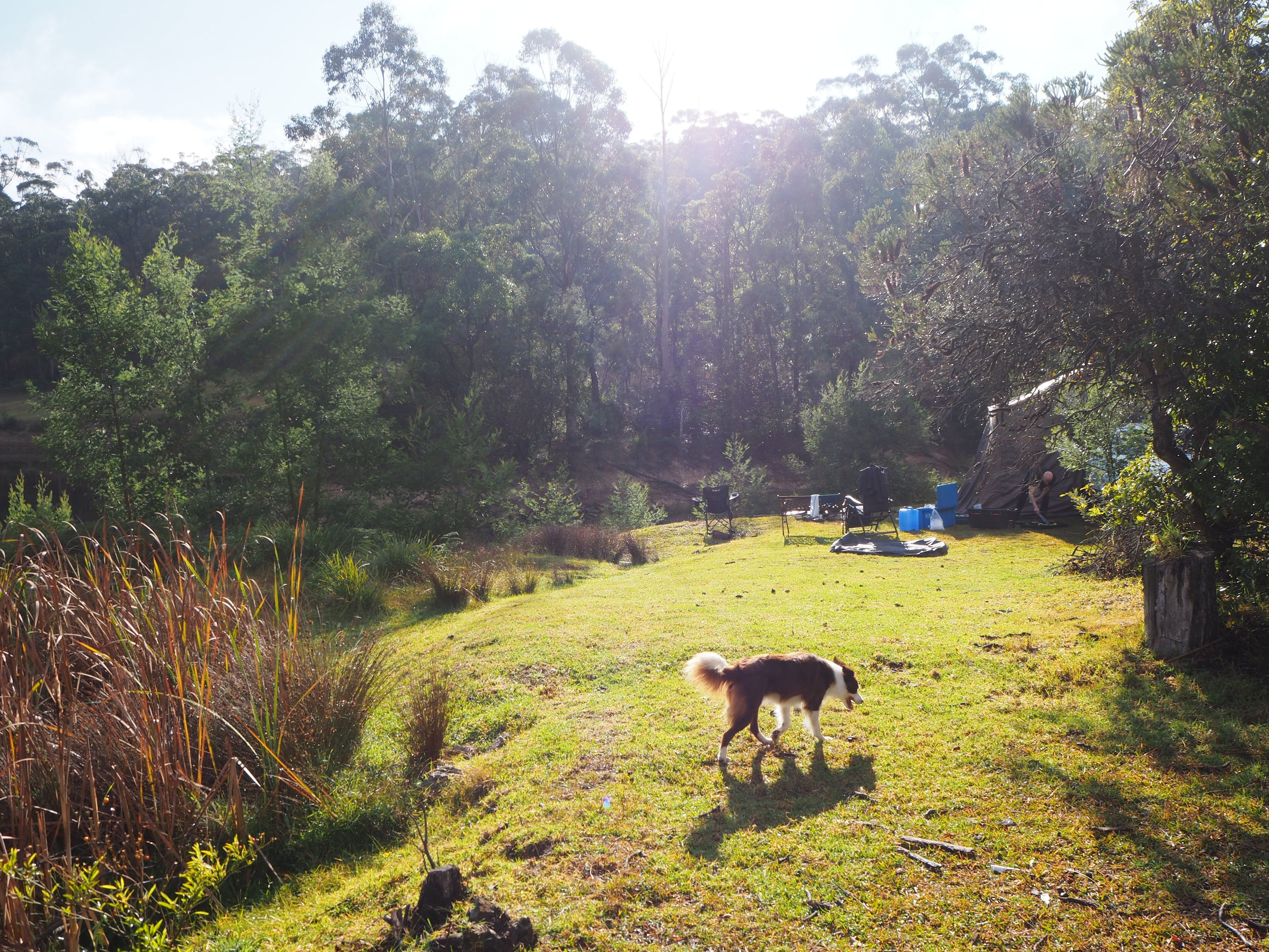 Campers enjoying a gorgeous winter morning 