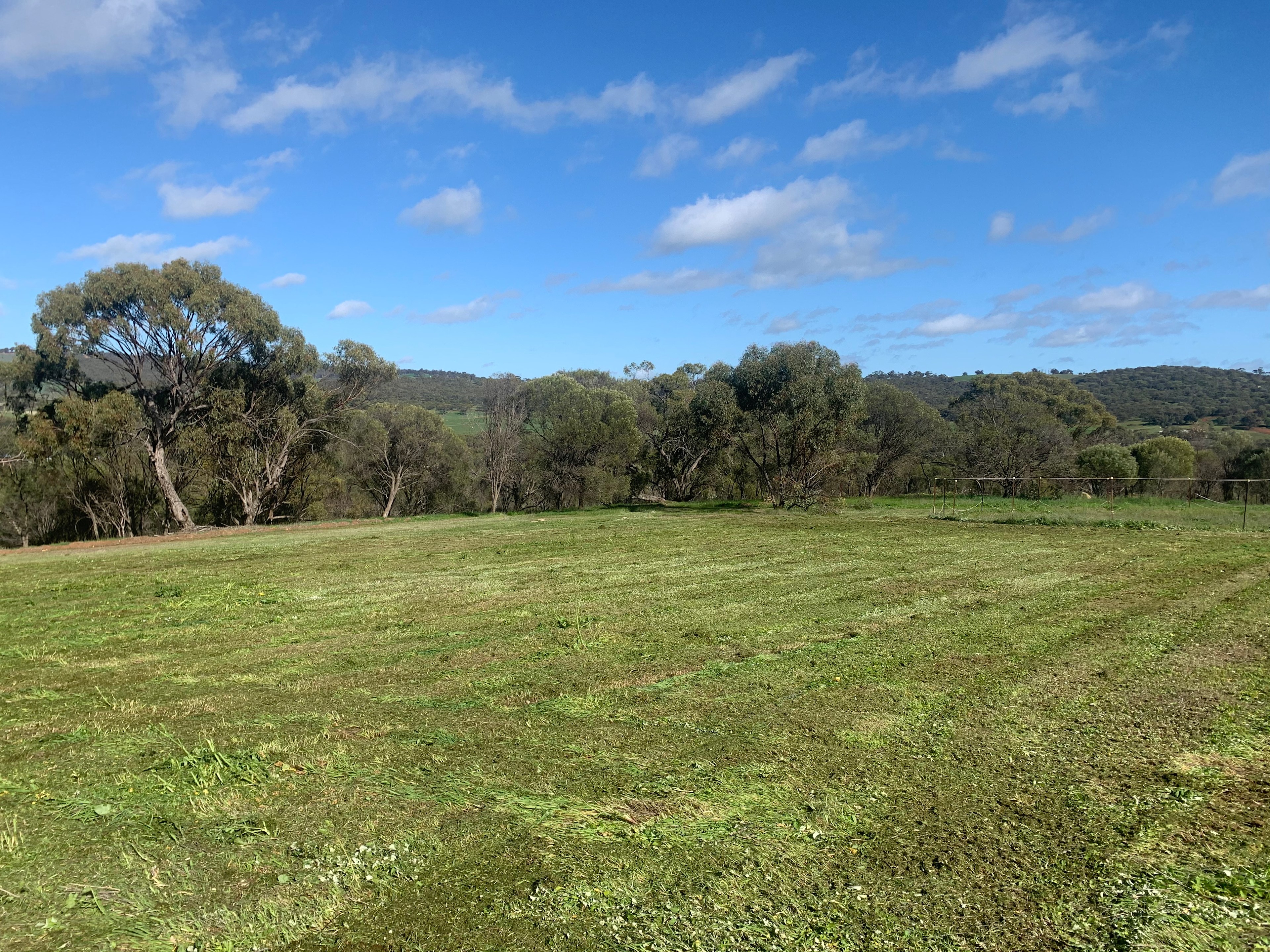 CLICK TO VIEW GALLERY