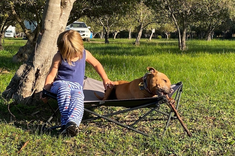 Pet and family friendly