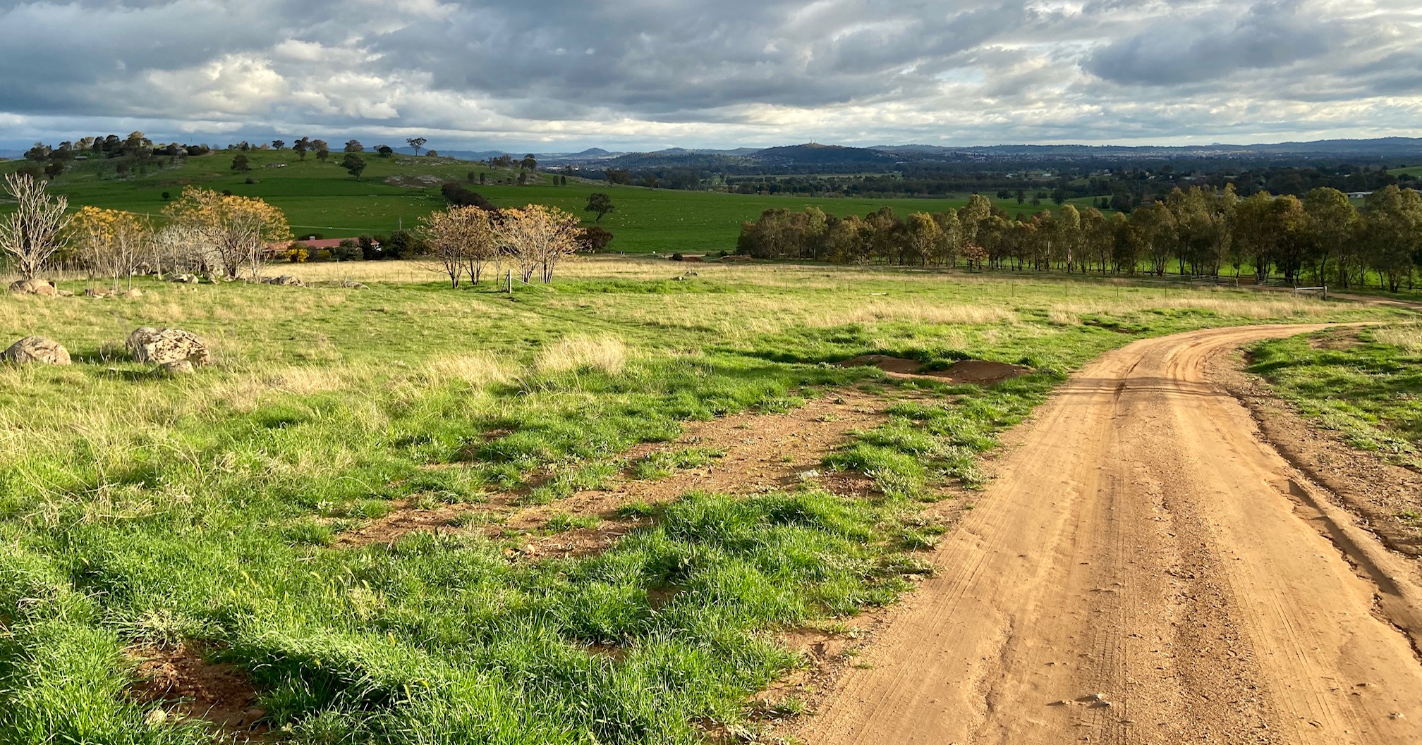 Wagga Bundaleer