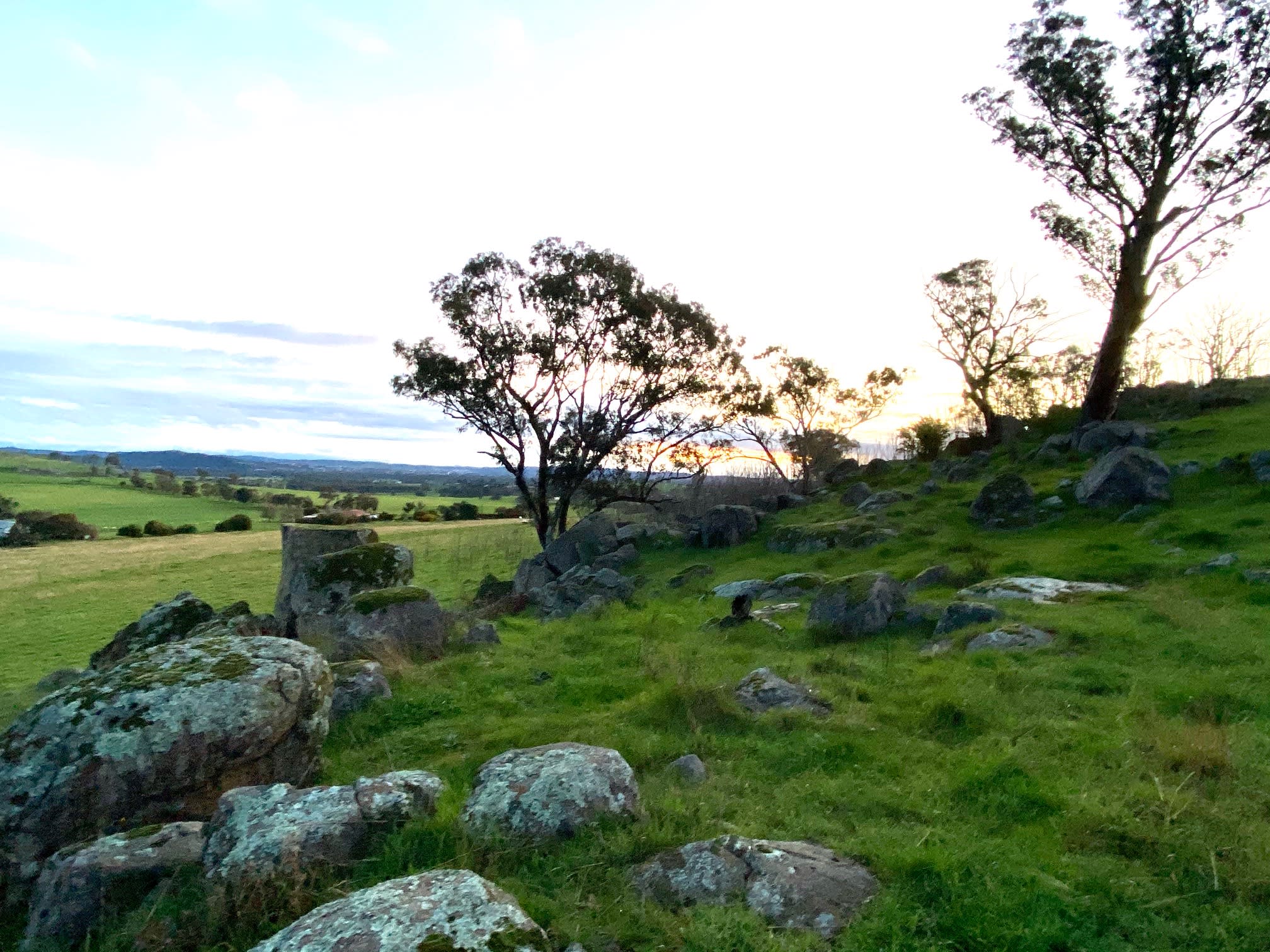 Wagga Bundaleer