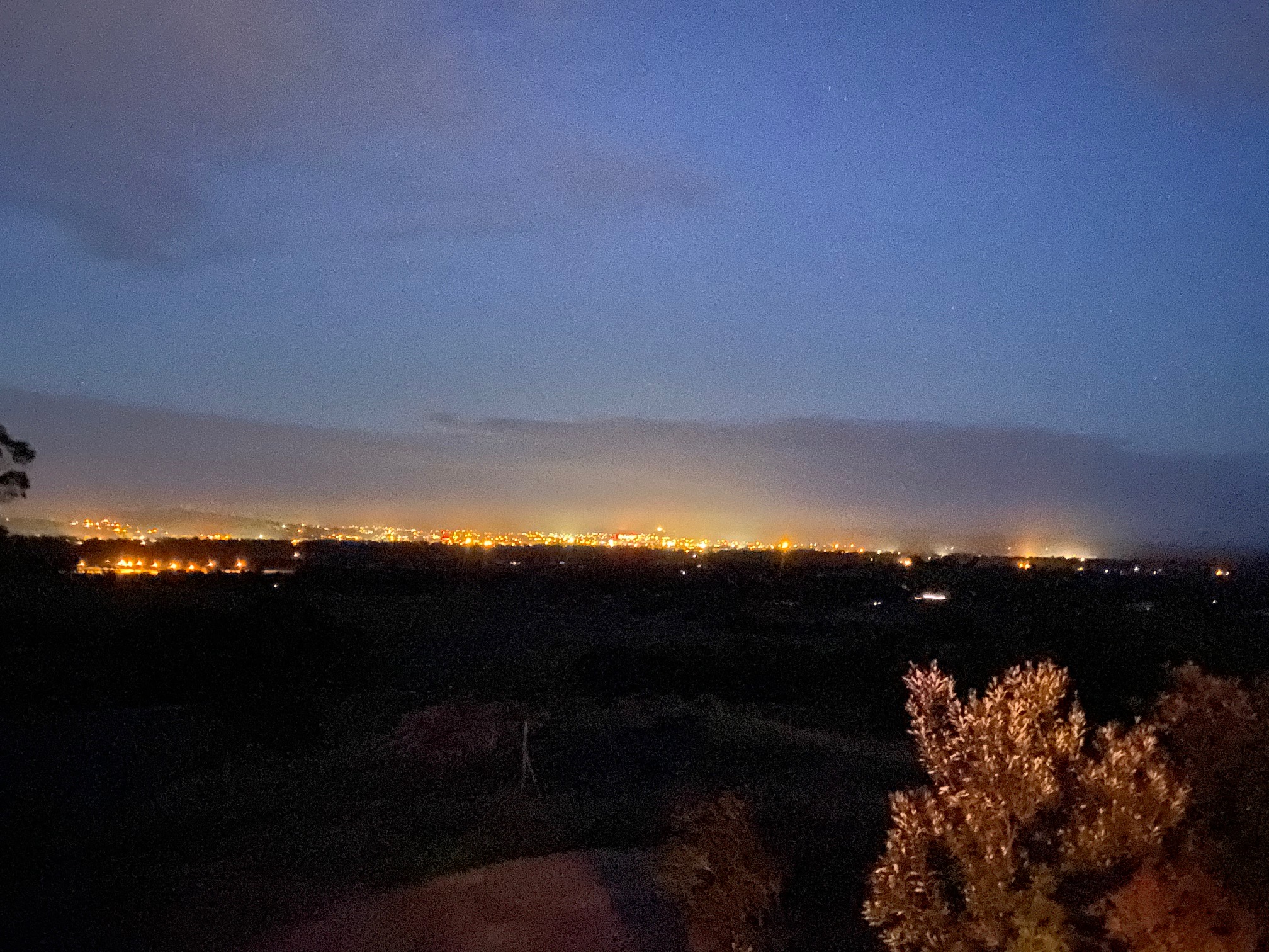 City lights of Wagga