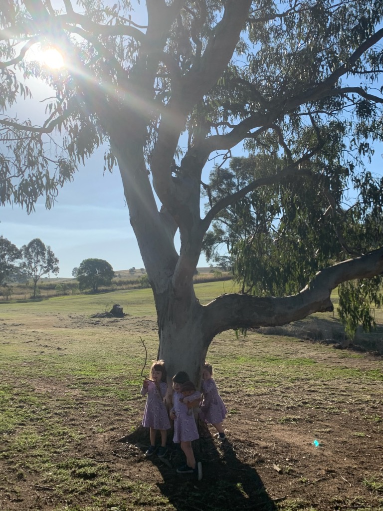 Ahead of Time - Green Acres Camping