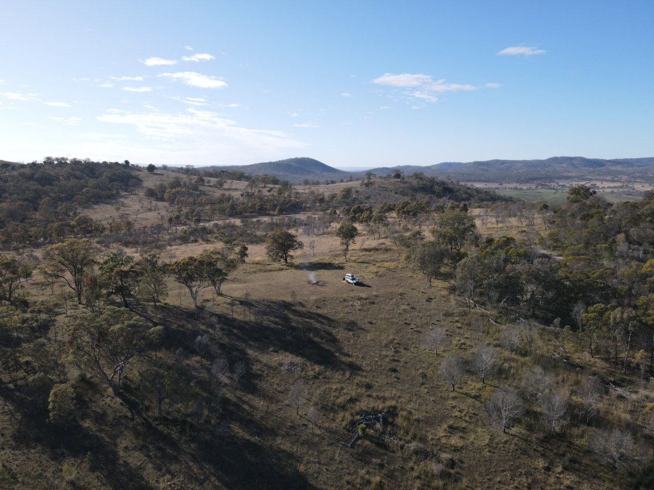 Risdon Stud