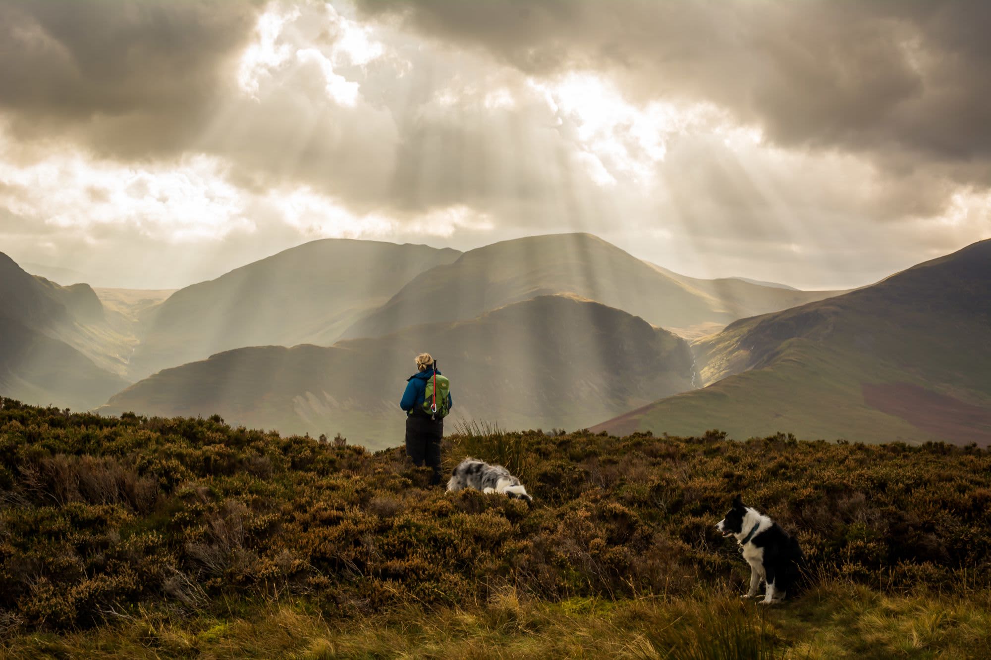 A family-friendly Lake District campsite, nestled between the quiet shores of Bassenthwaite Lake and the beautiful Cumbrian fells.