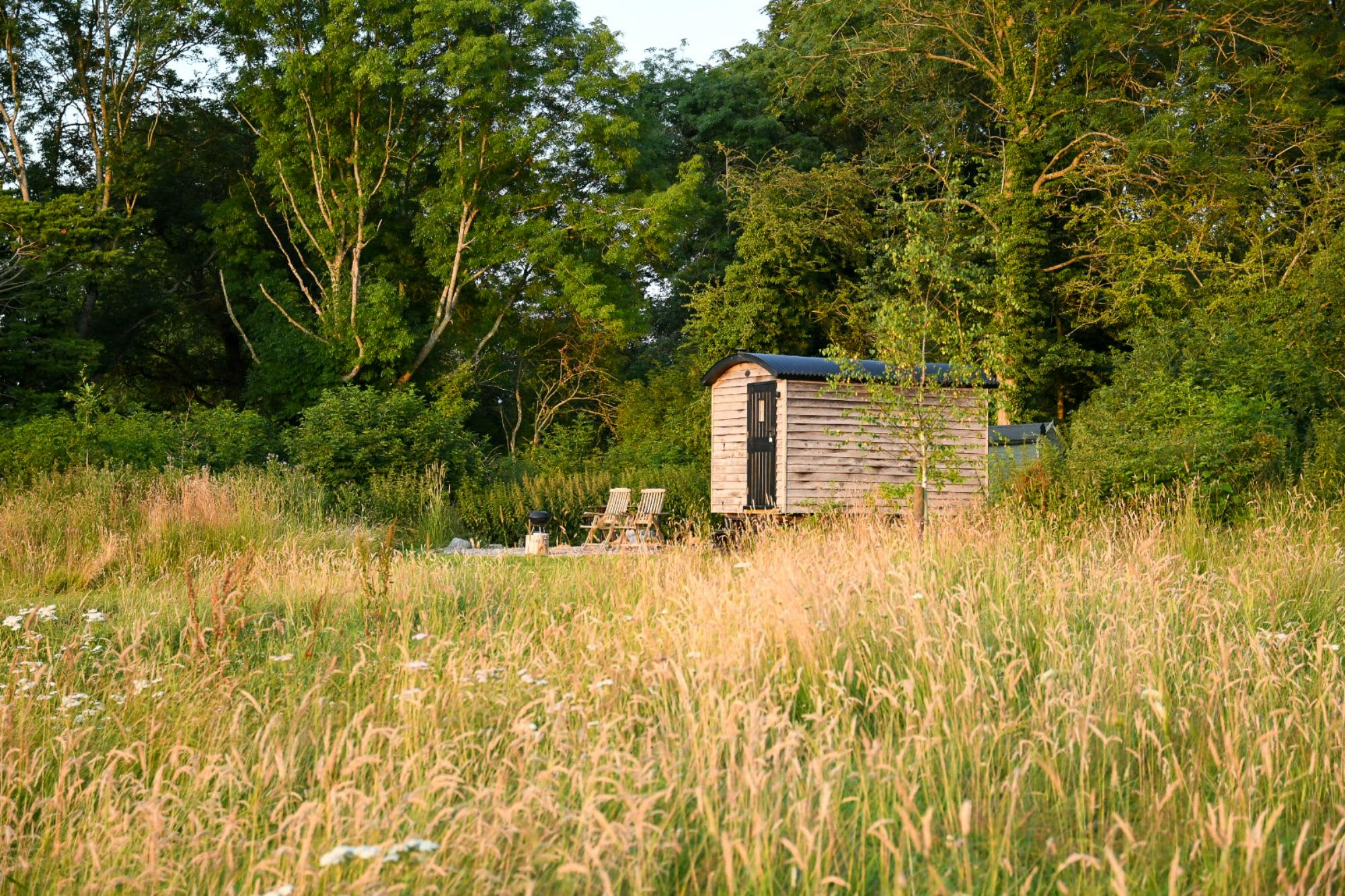 Oak Shepherd's Hut