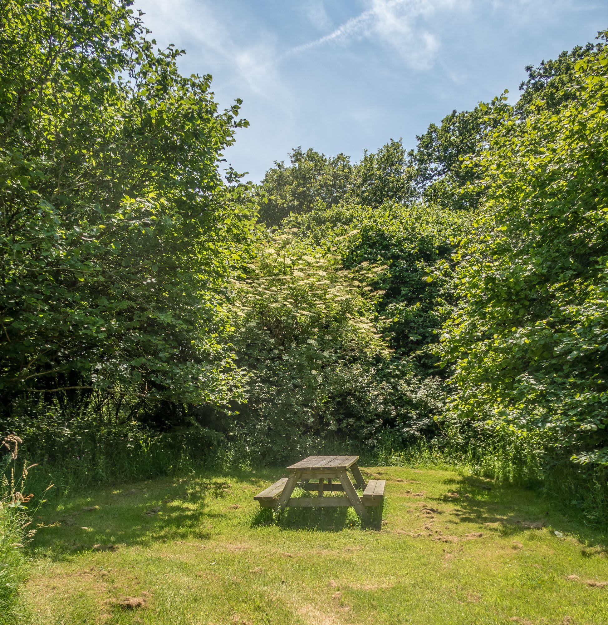 Mena Farm - picnic by the pond