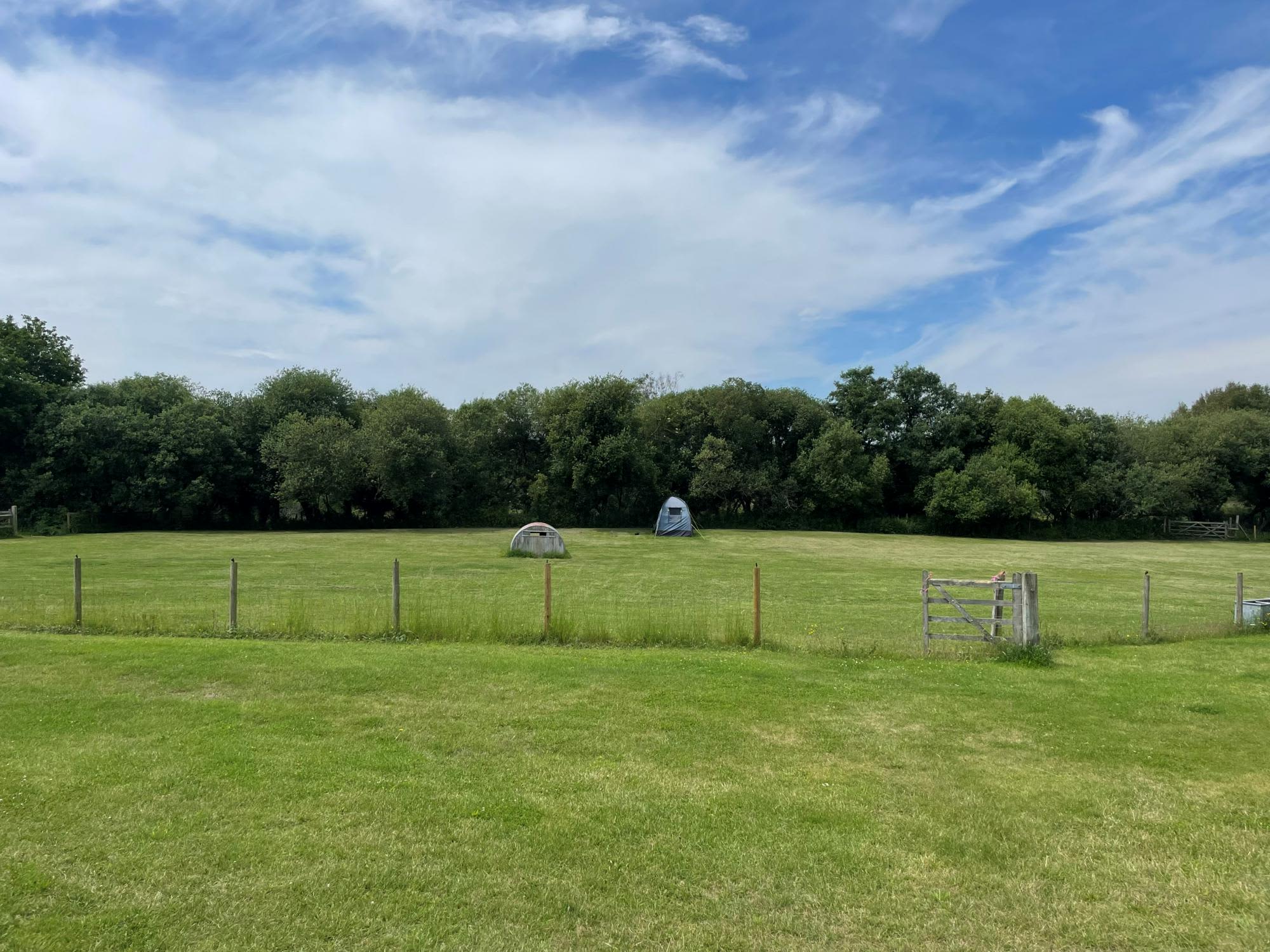 Grass Pitch
