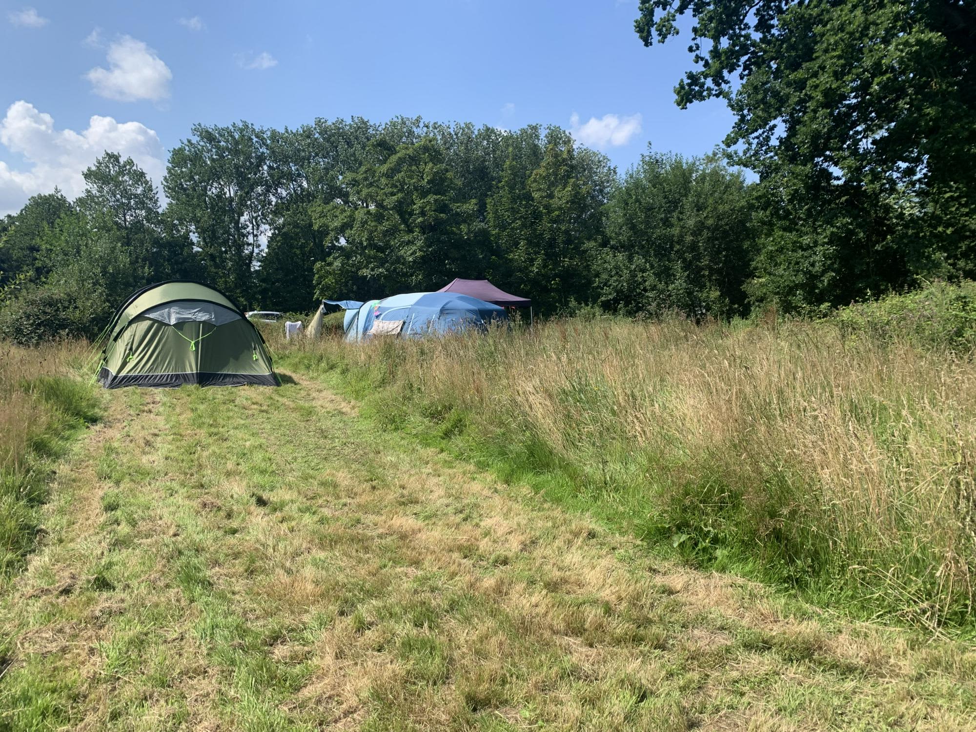 Pitch 1