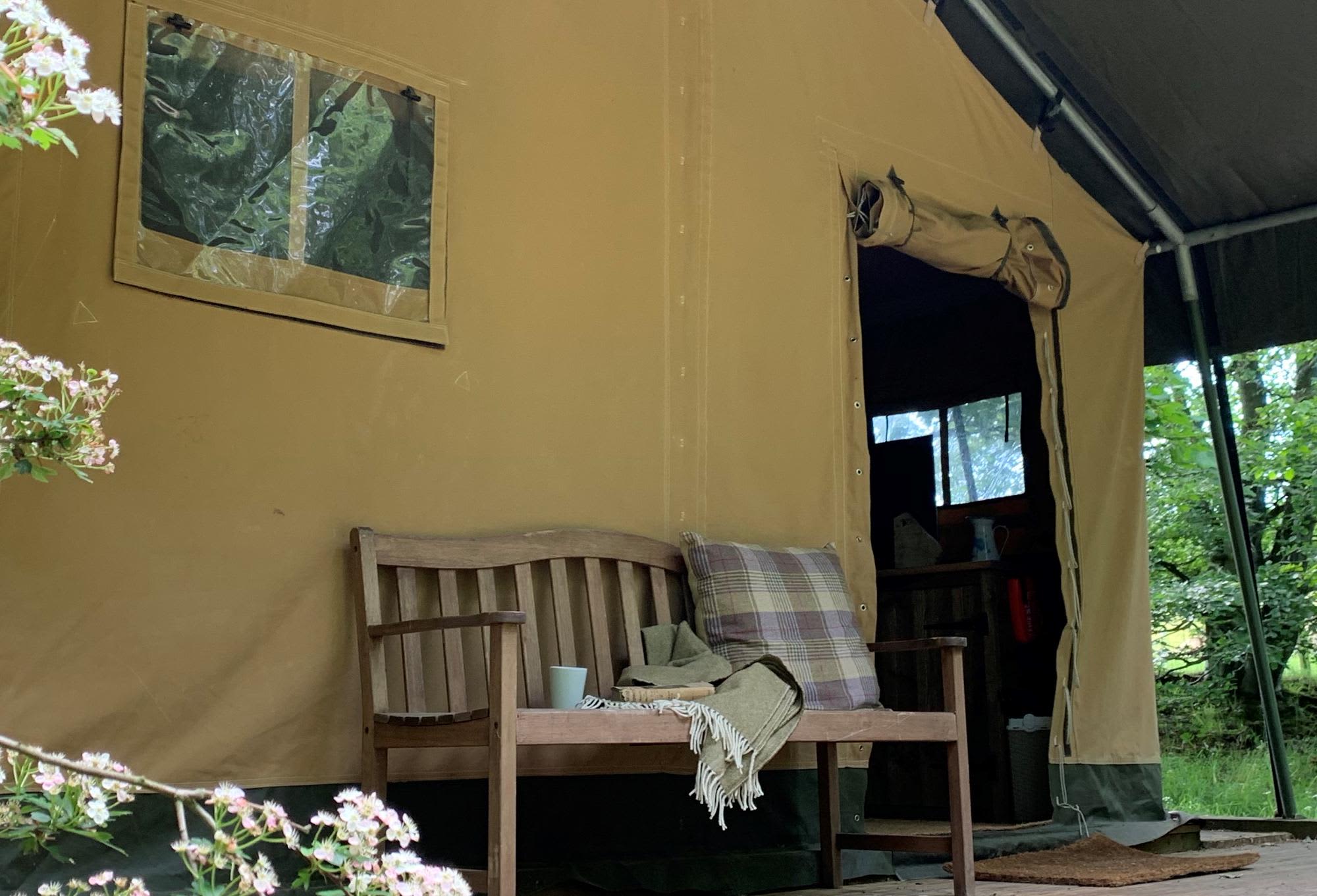 Ruberslaw Wild Woods Camping