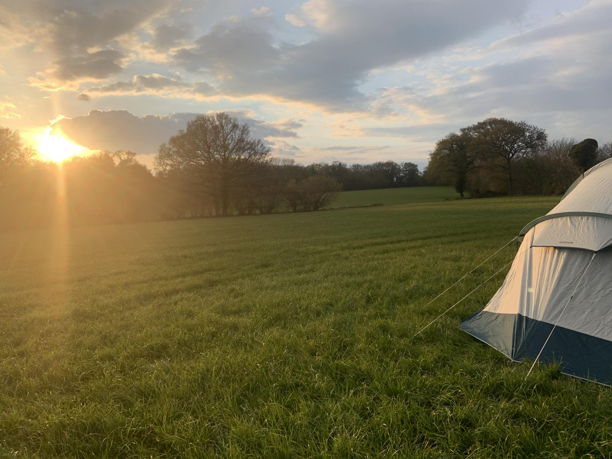 Flat Grass pitch surrounded by woodland