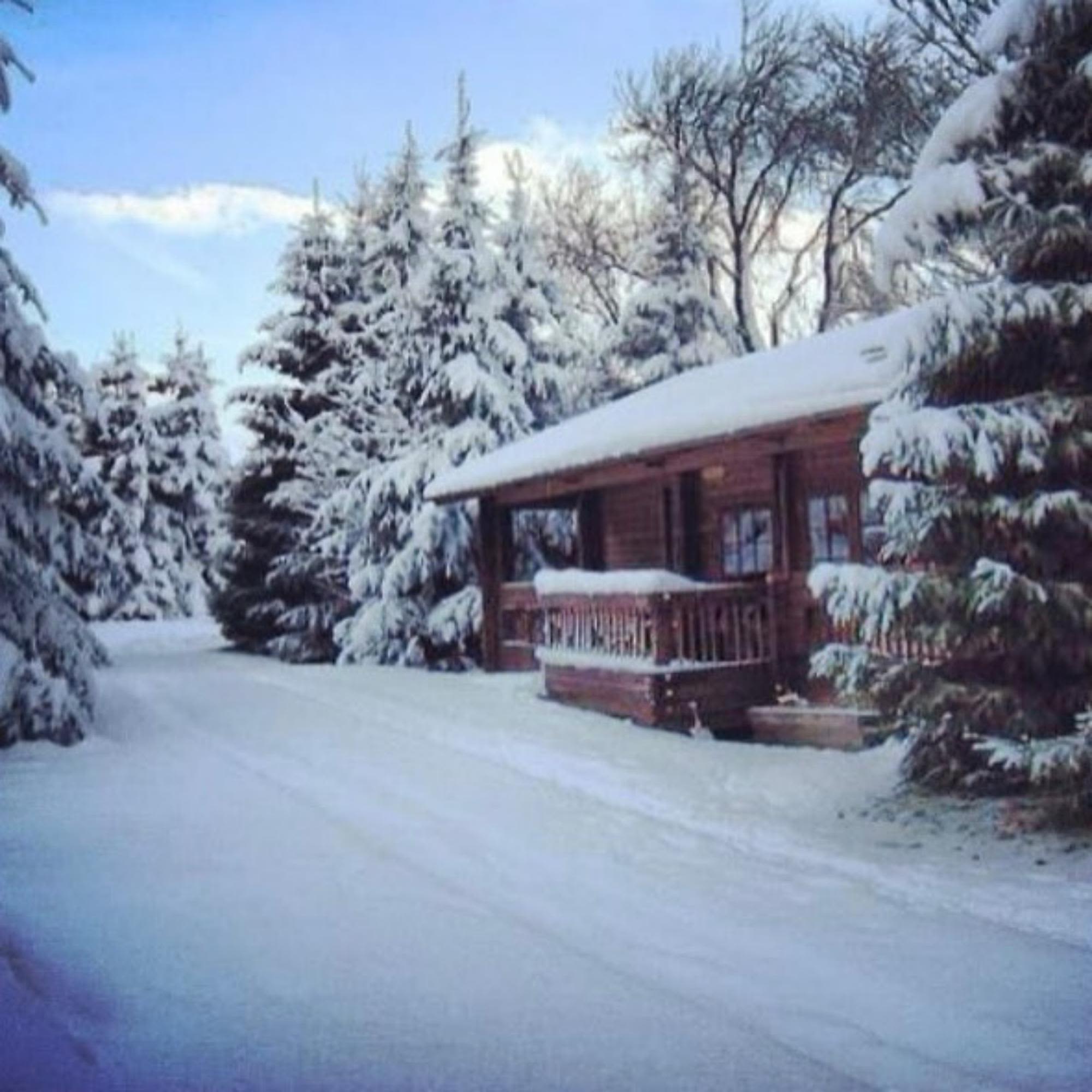Sir Isaac Newton Scandinavian Log Cabin