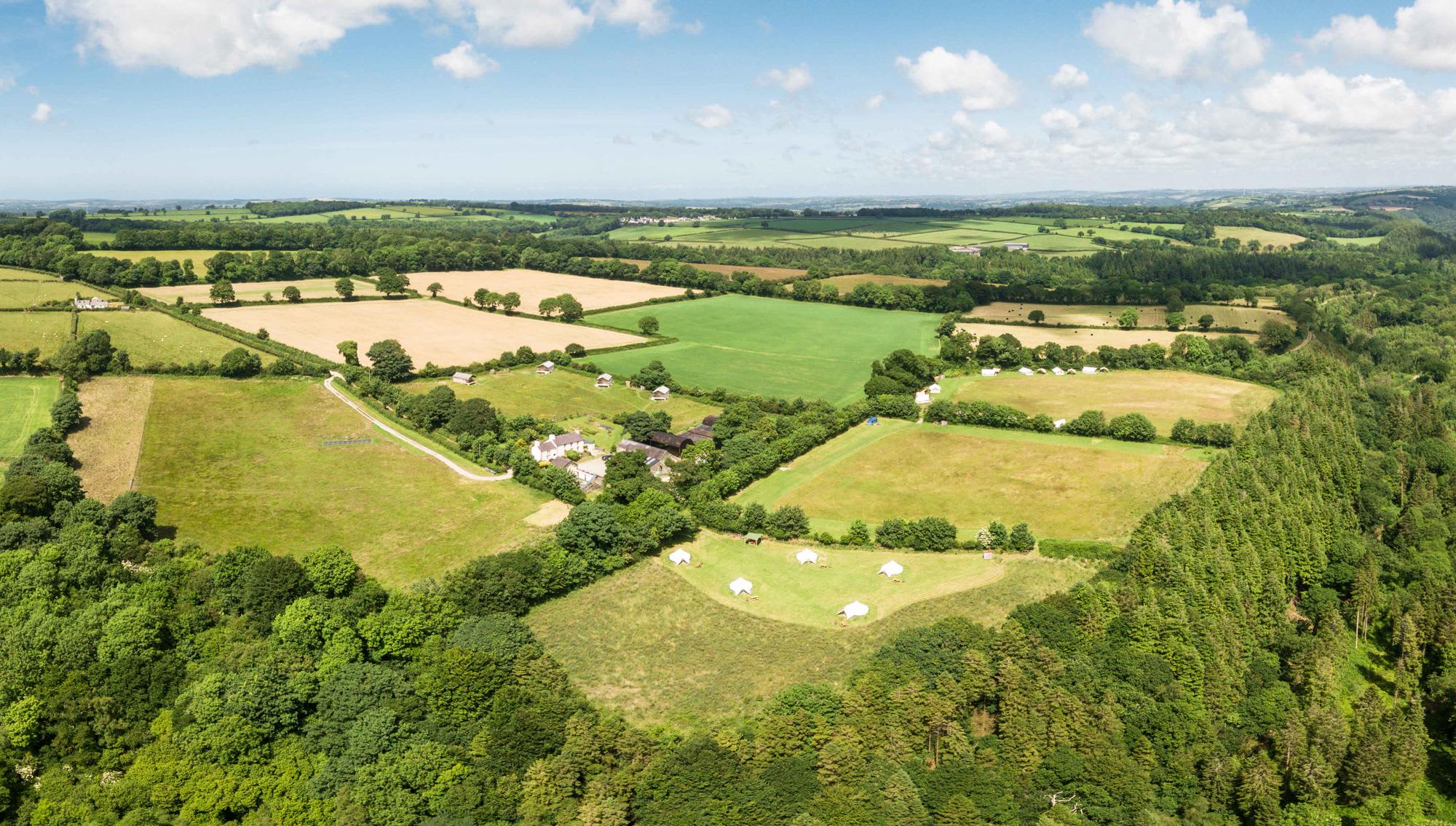 Top of the Woods- Care-free Welsh camping & glamping with acres of space, excellent walks and a beautiful woodland on the doorstep.
