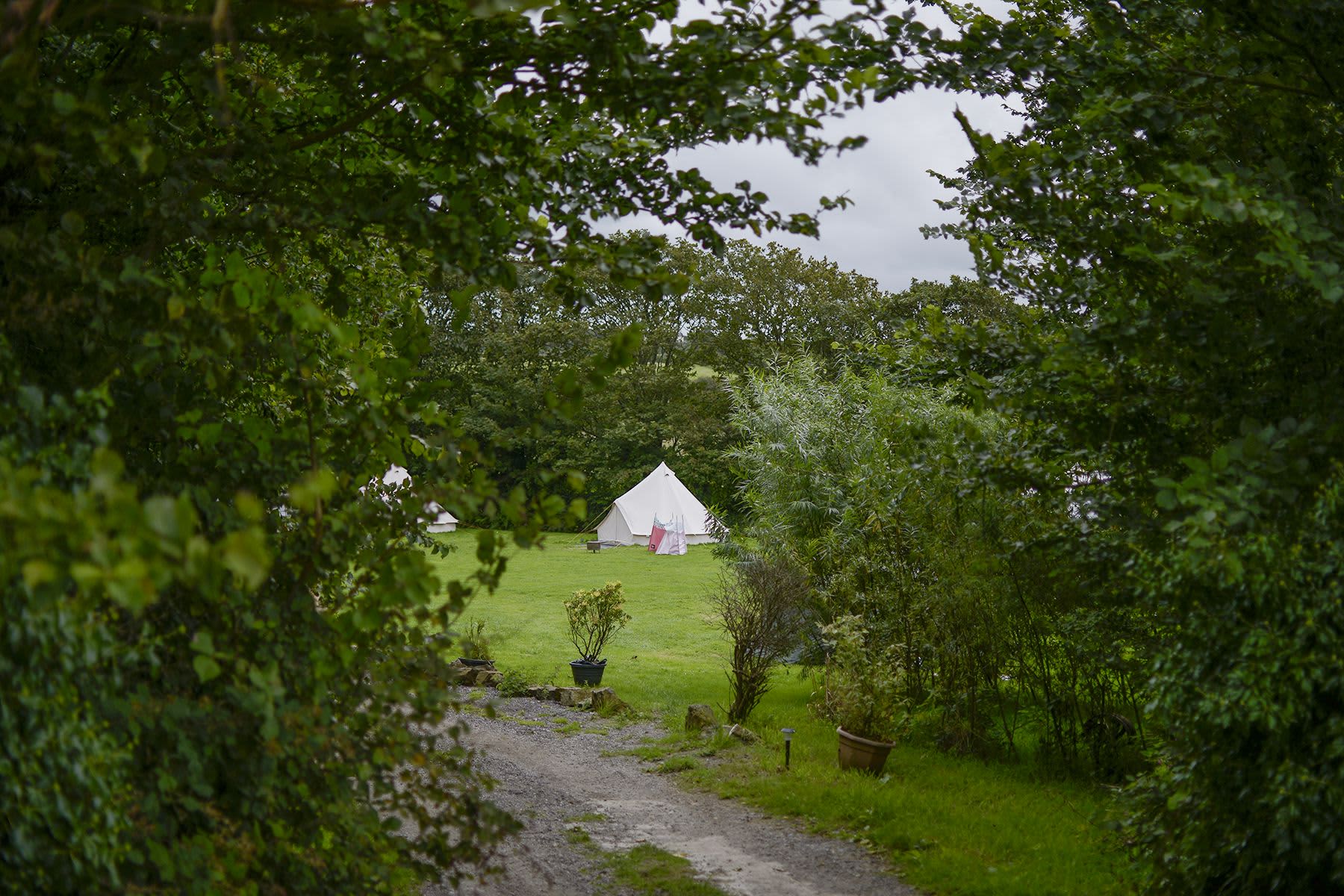 Elm Farm