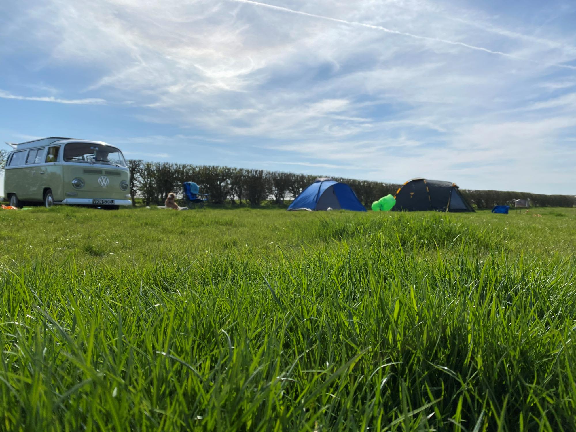 Grass tent pitch
