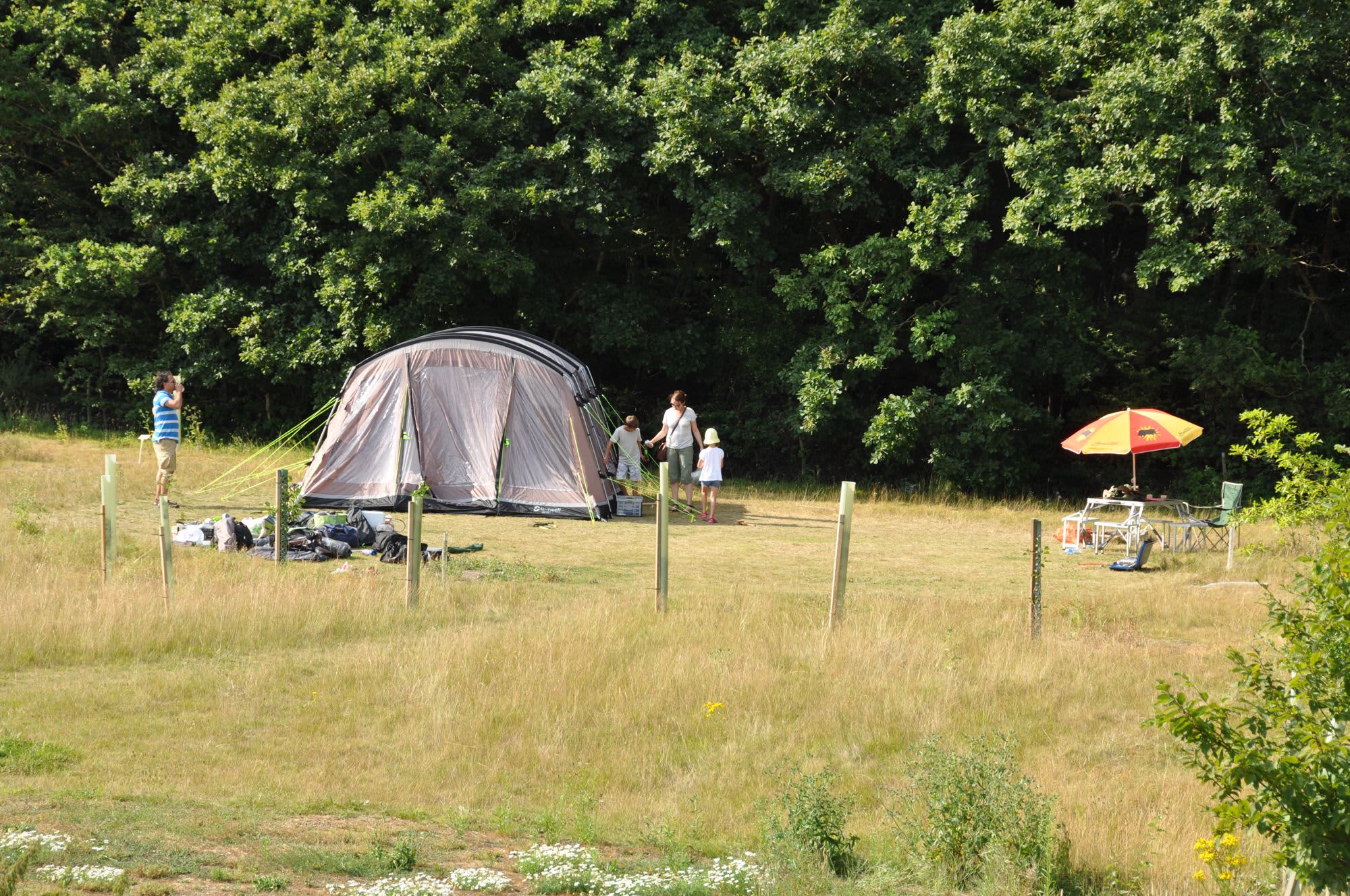 The Bank camping
