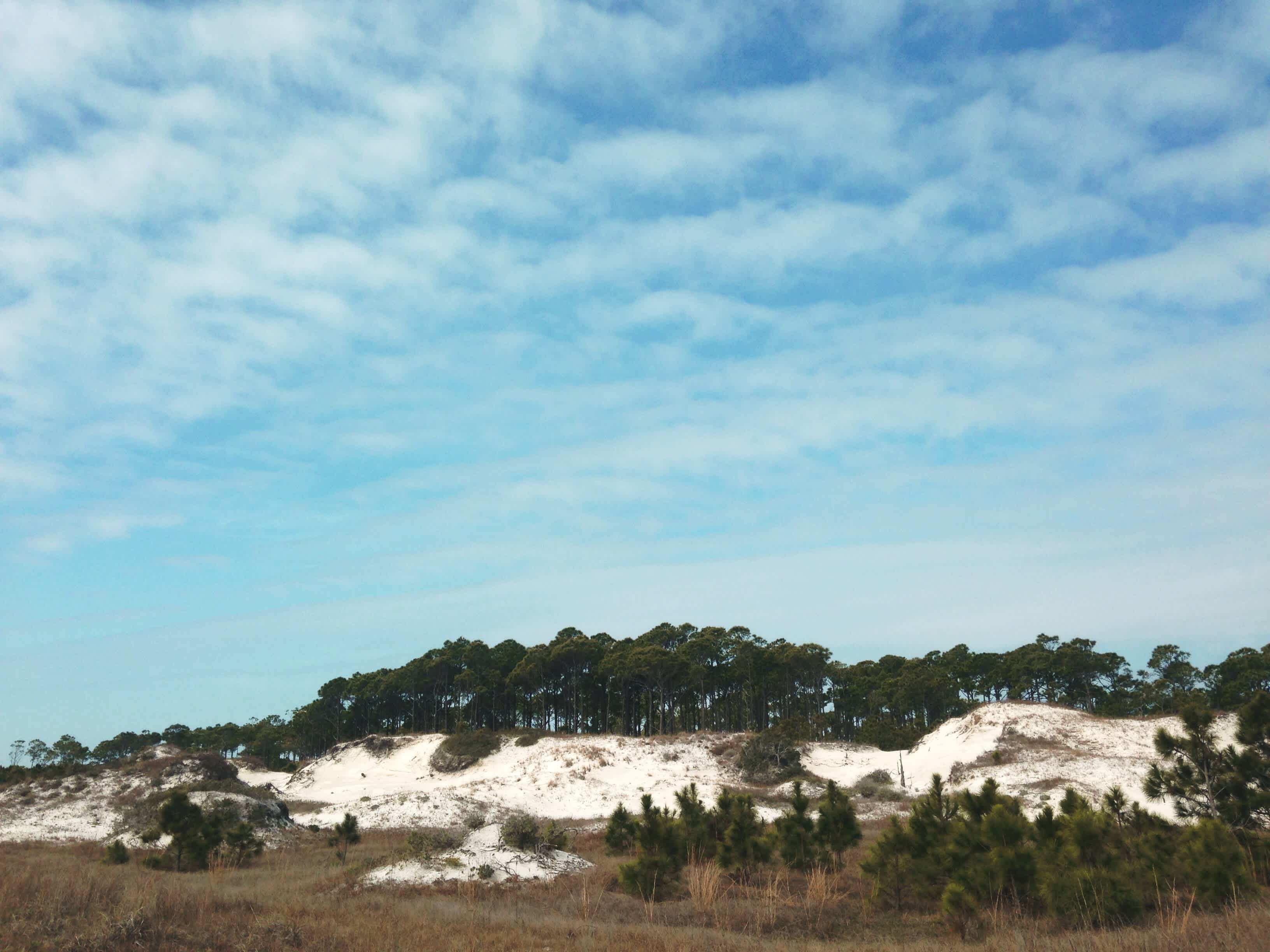 Dr. Julian G. Bruce St. George Island State Park