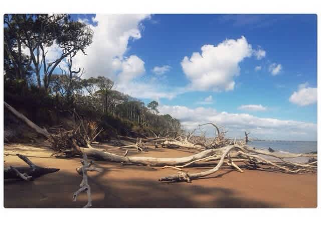 Little Talbot Island Campground