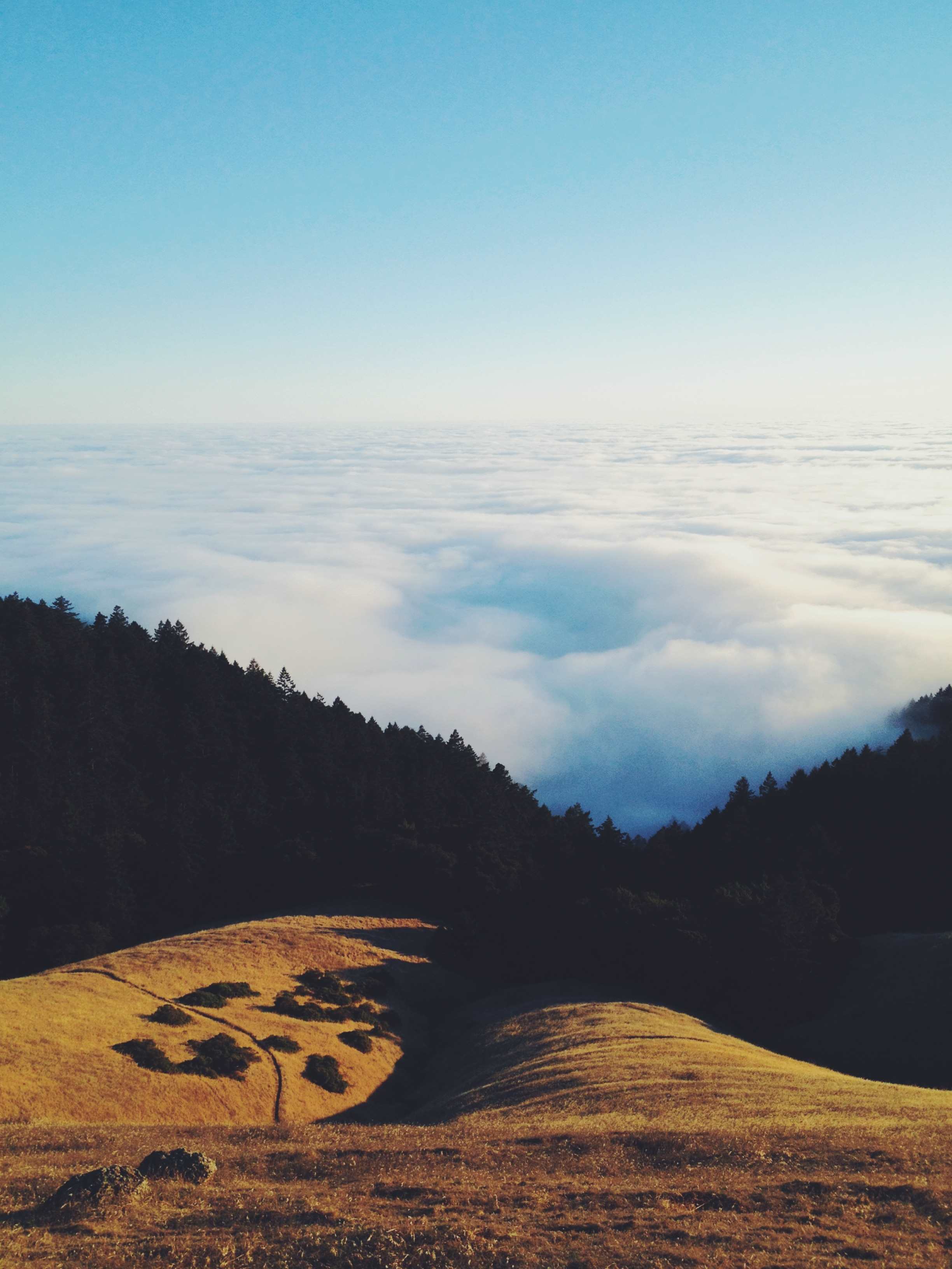 Above the fog atop Mt. Tamalpais!