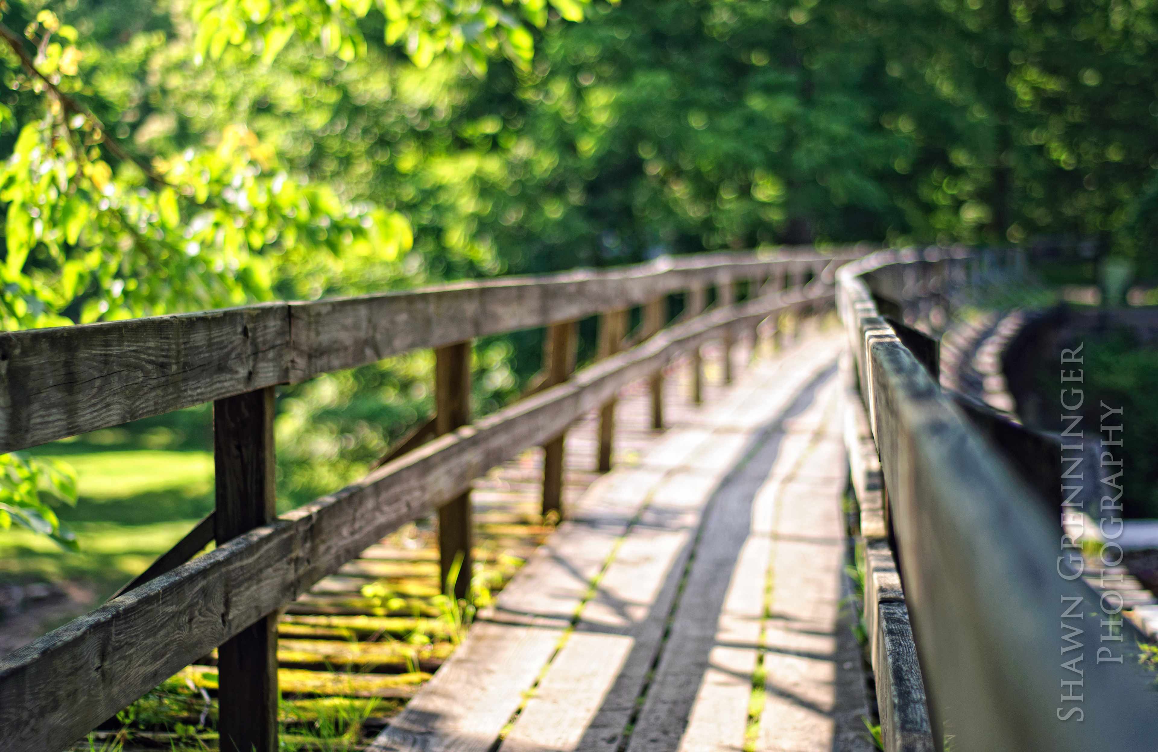 Foot bridge at the park.