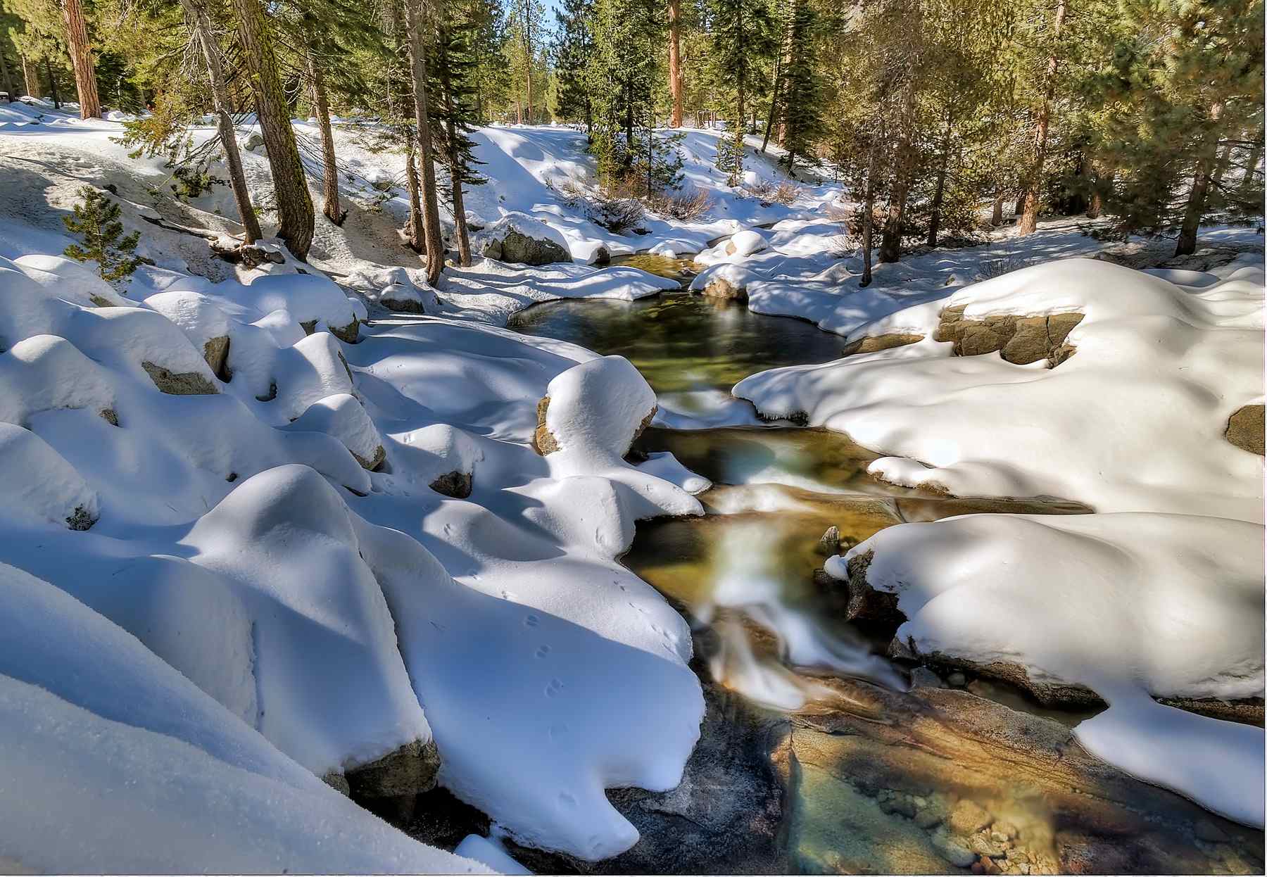 South Fork Campground