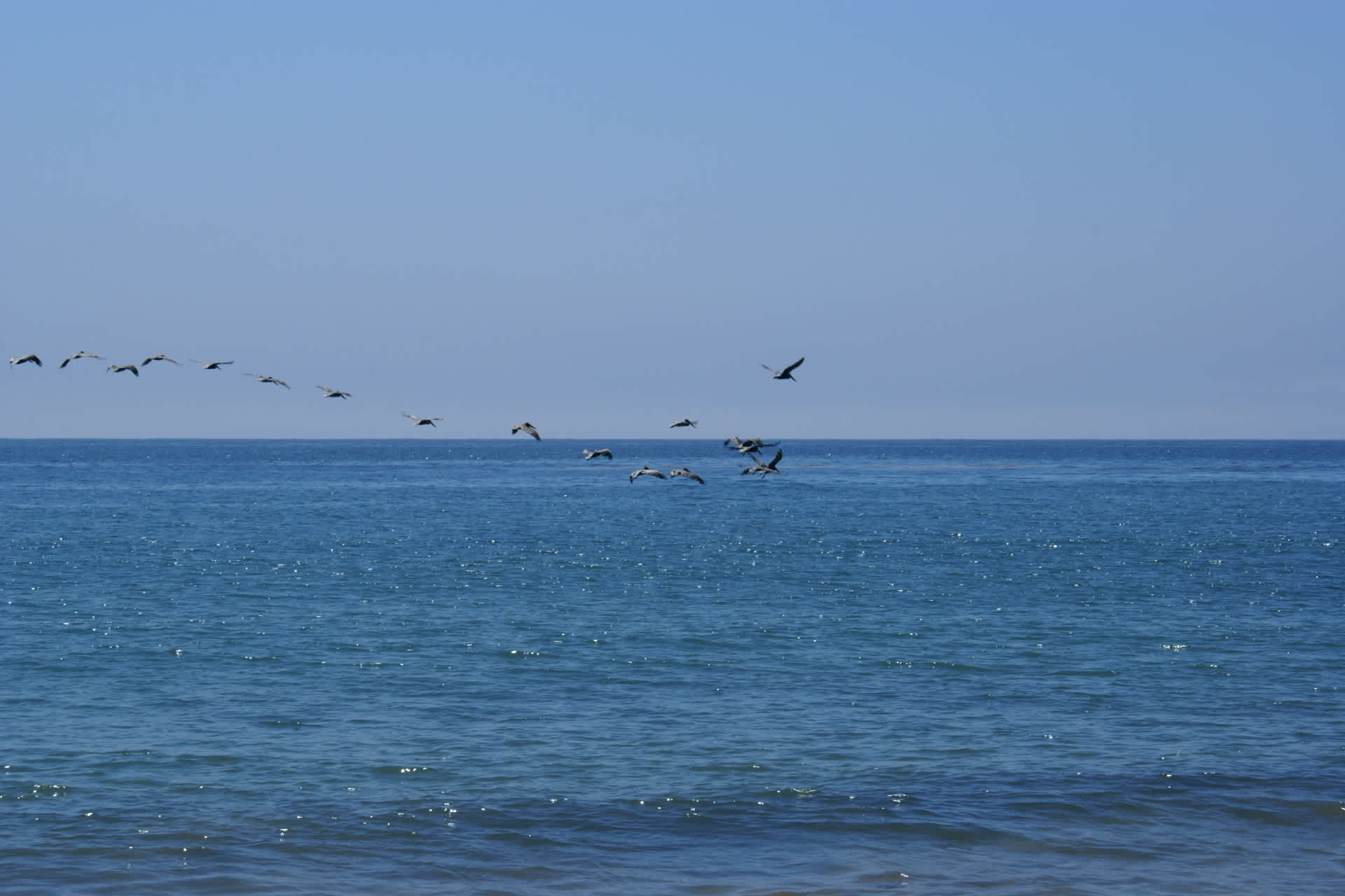 Refugio State Beach