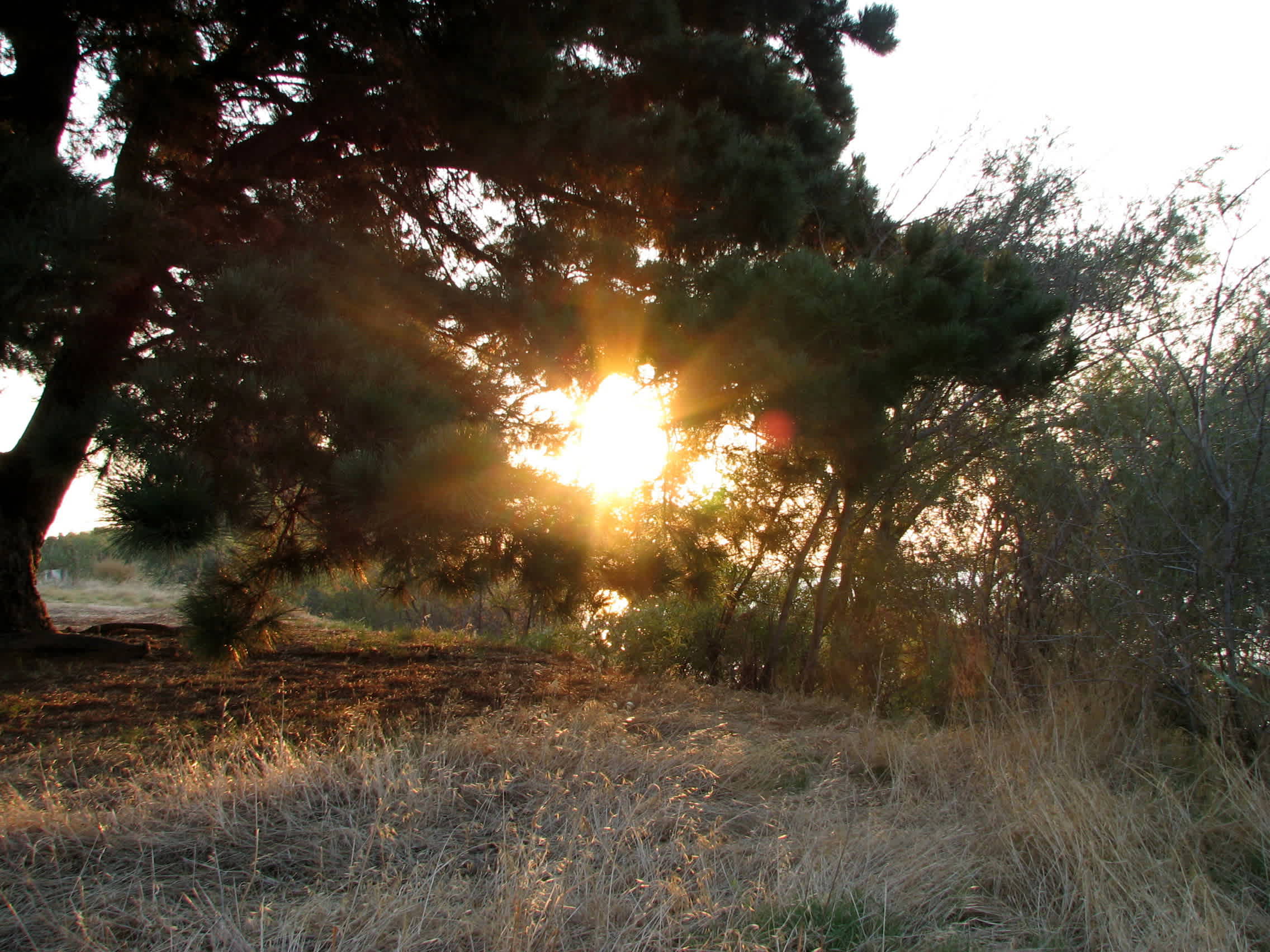 Brannan Island State Recreation Area