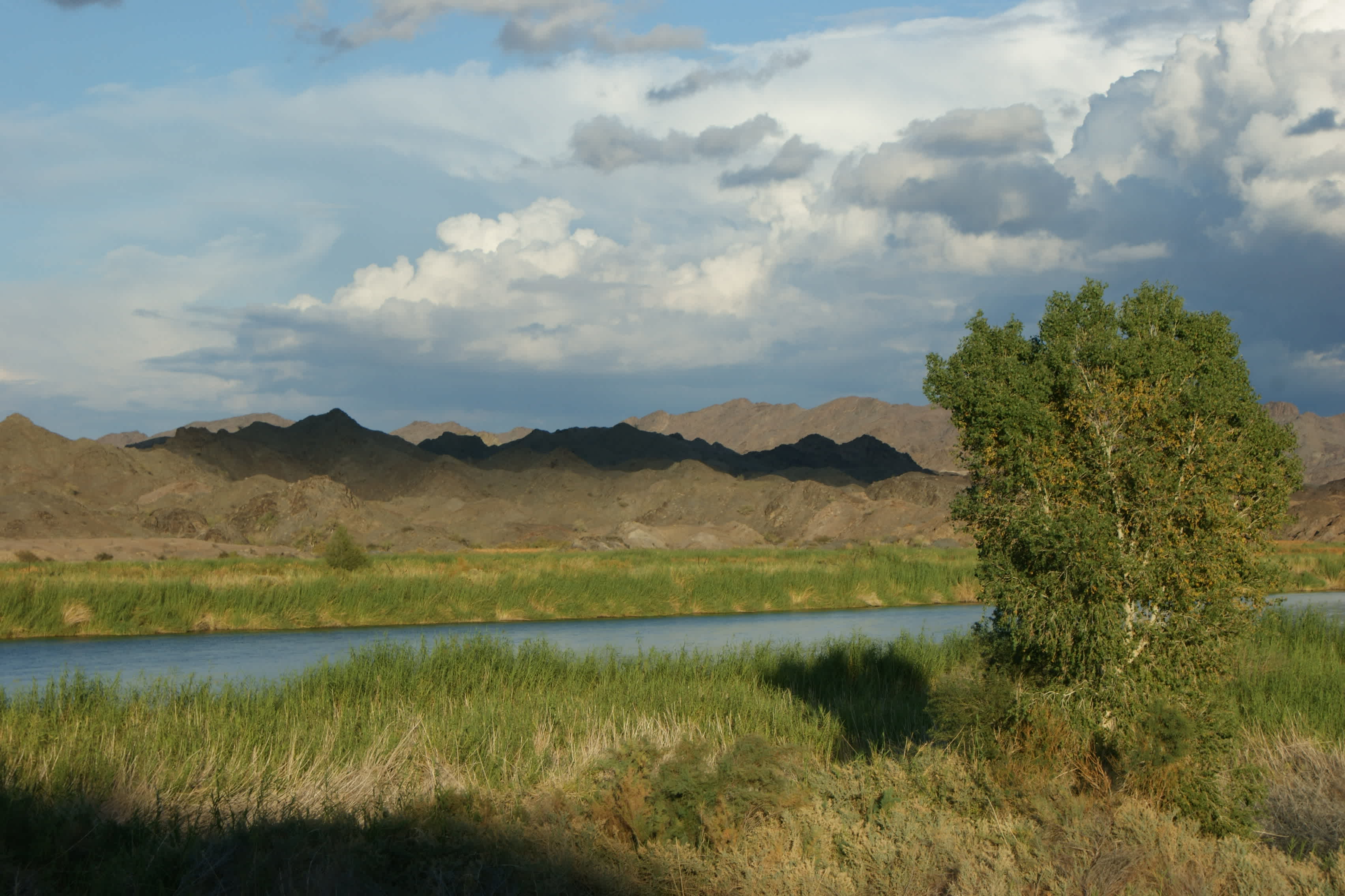 Main Campground