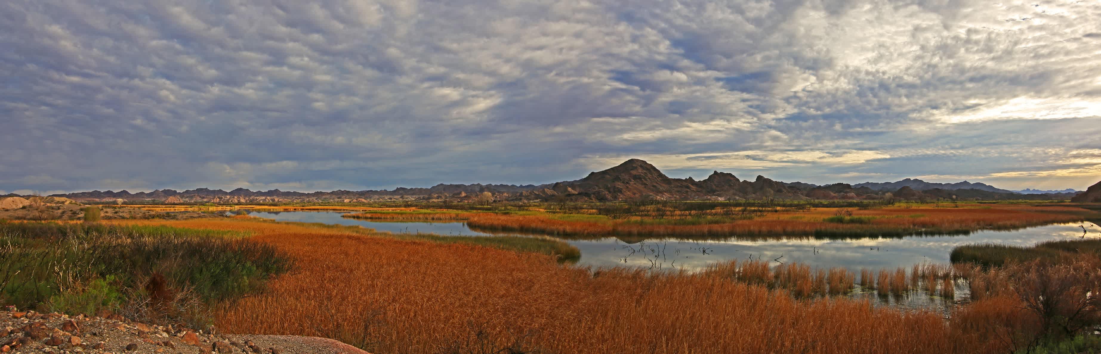 Taylor Lake Campground