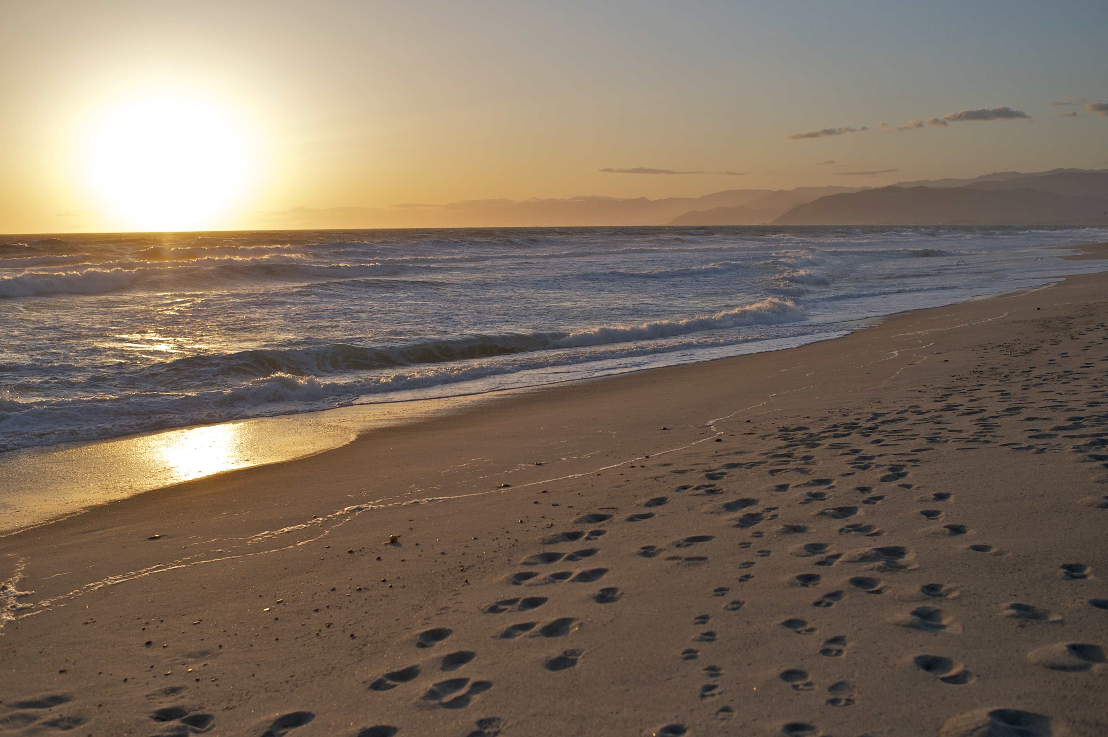 McGrath State Beach