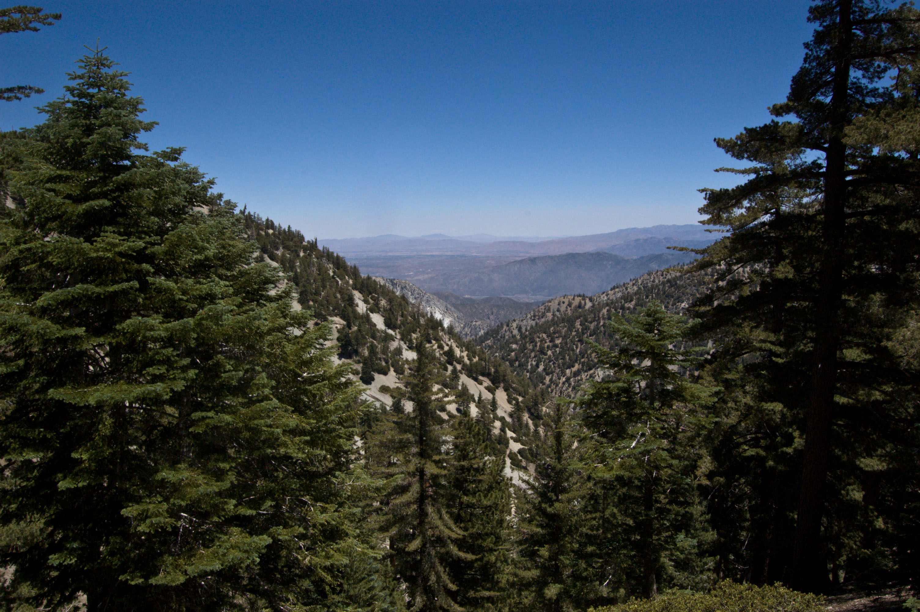 Santa Rosa Springs Campground