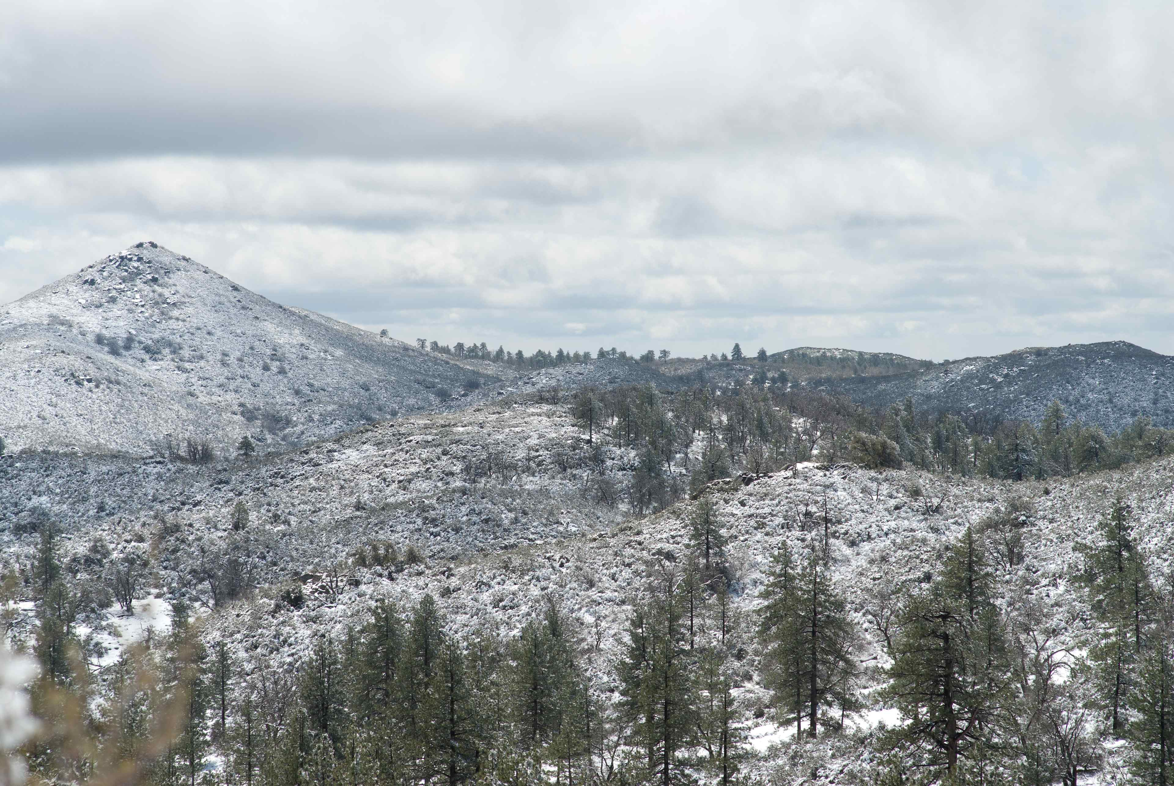 Bobcat Meadow Campground