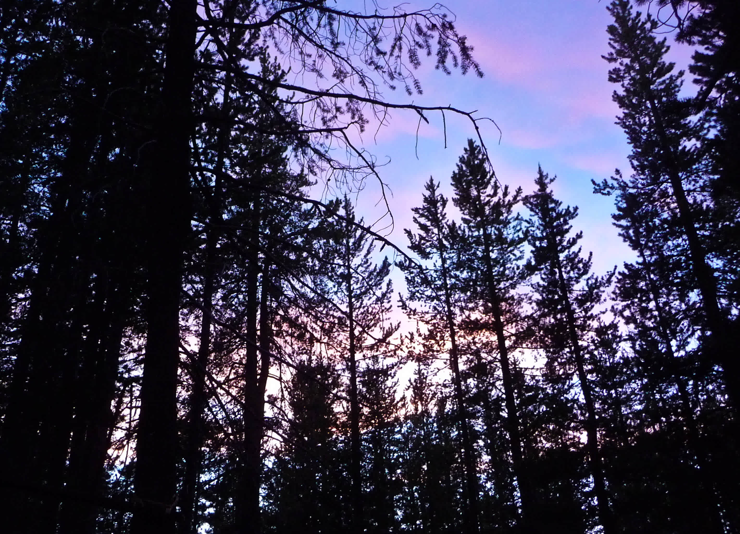 A.H. Hogue Campground