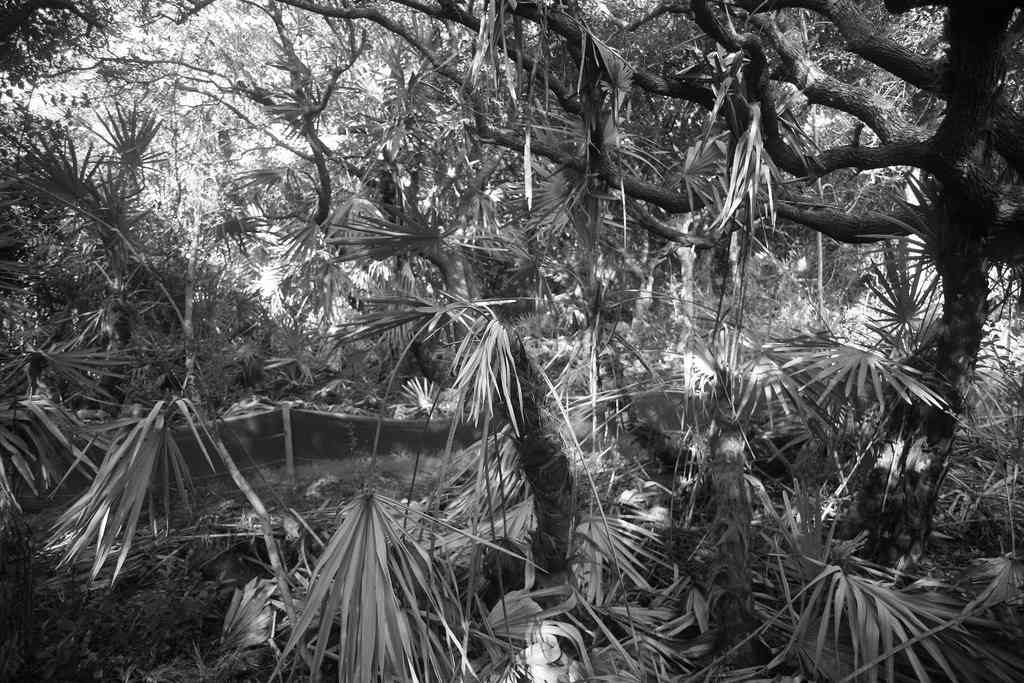 Gamble Rogers Campground