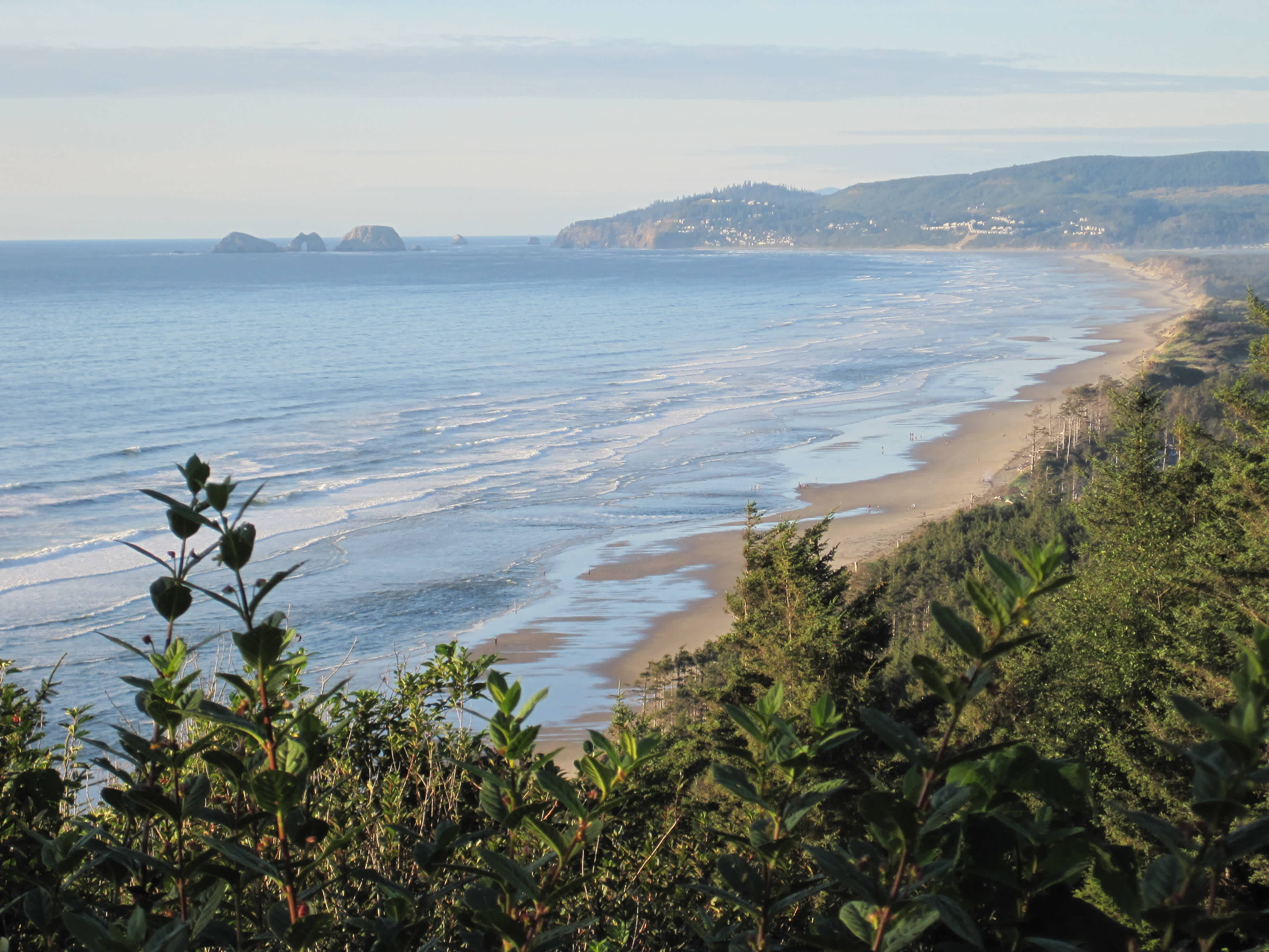 Cape Lookout Campground