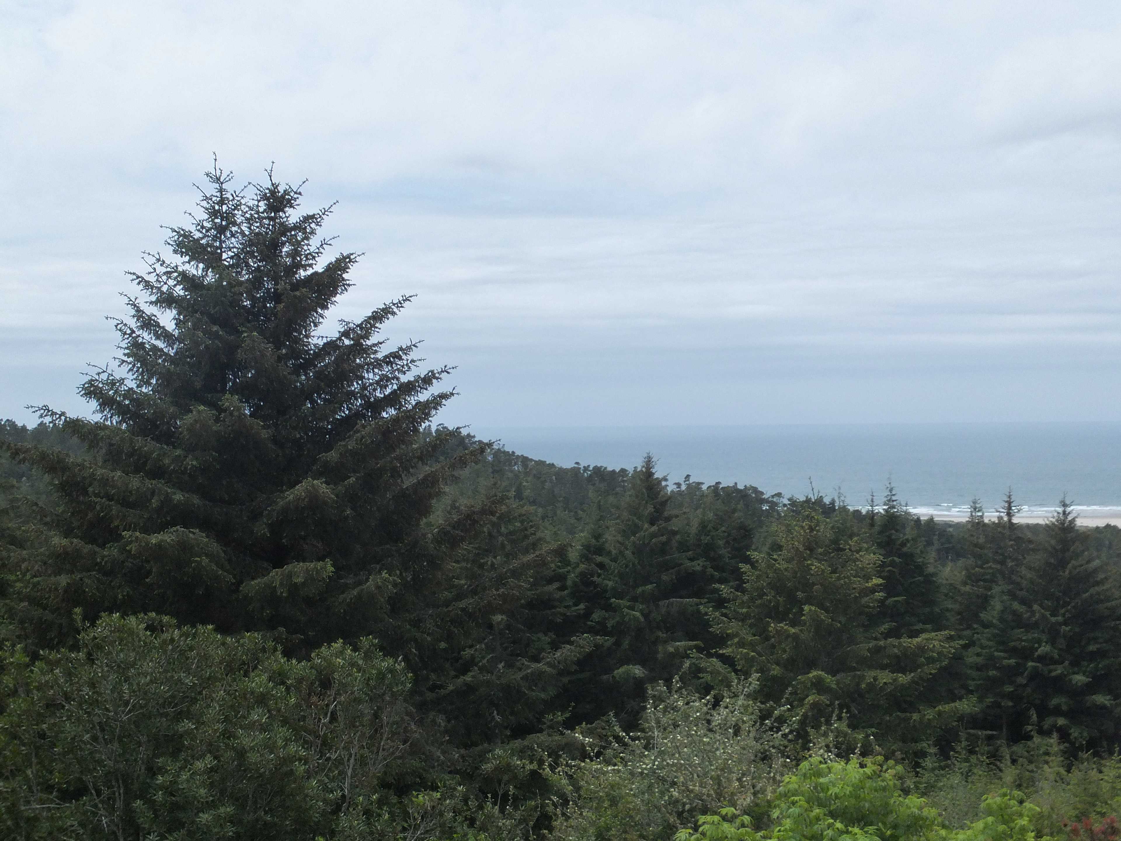 Umpqua Lighthouse Campground