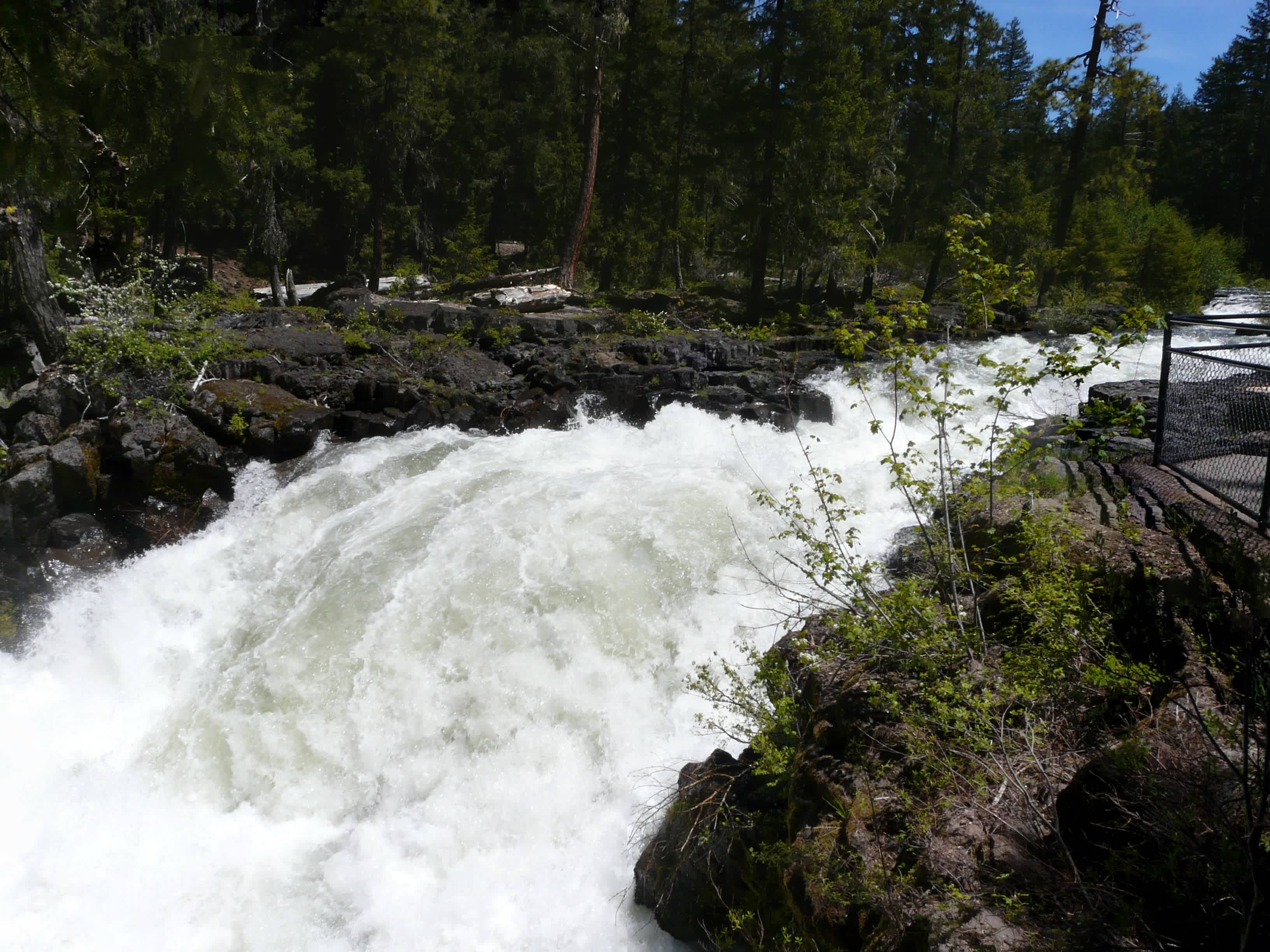 Doe Point Campground