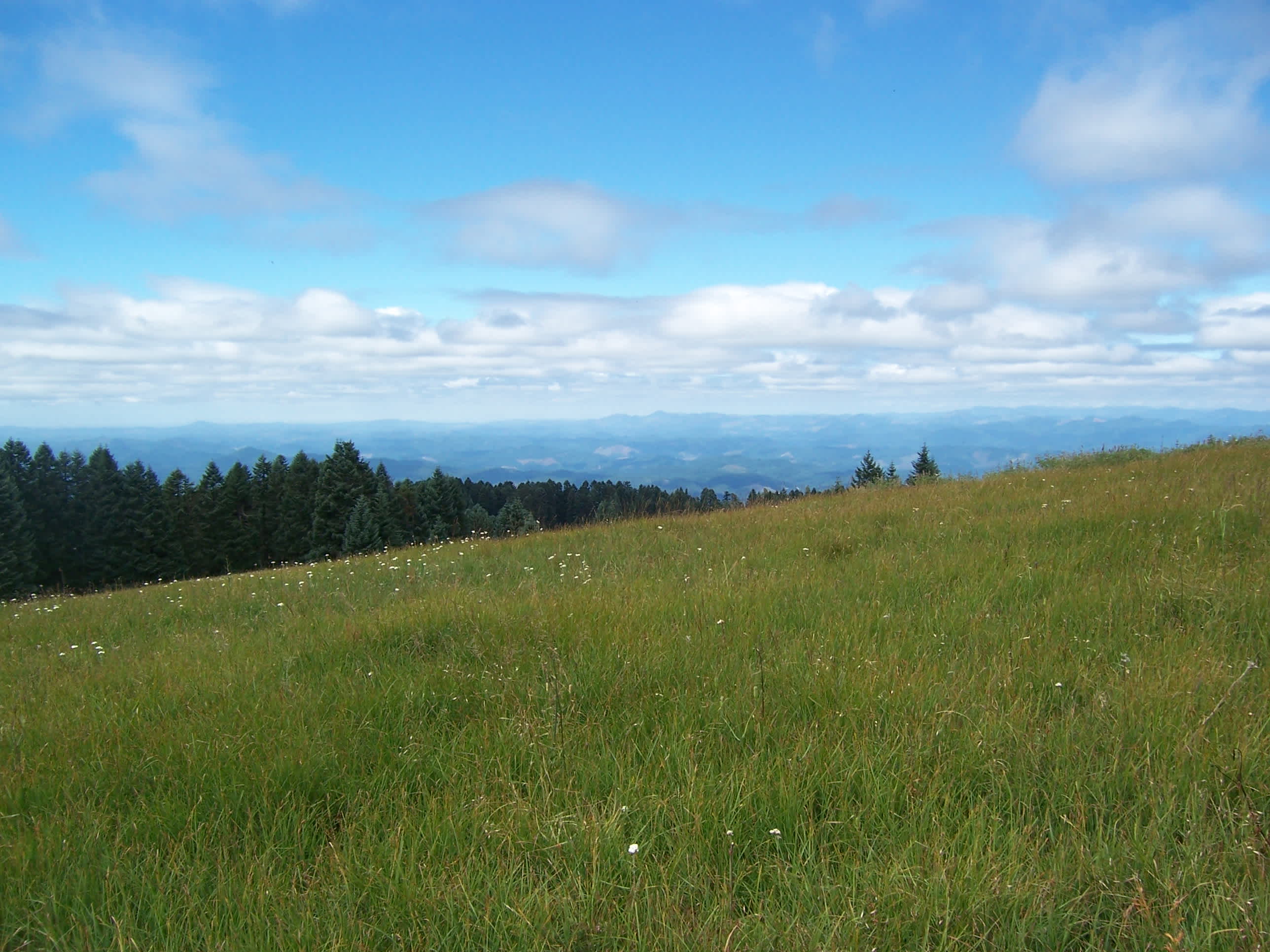 Siuslaw National Forest