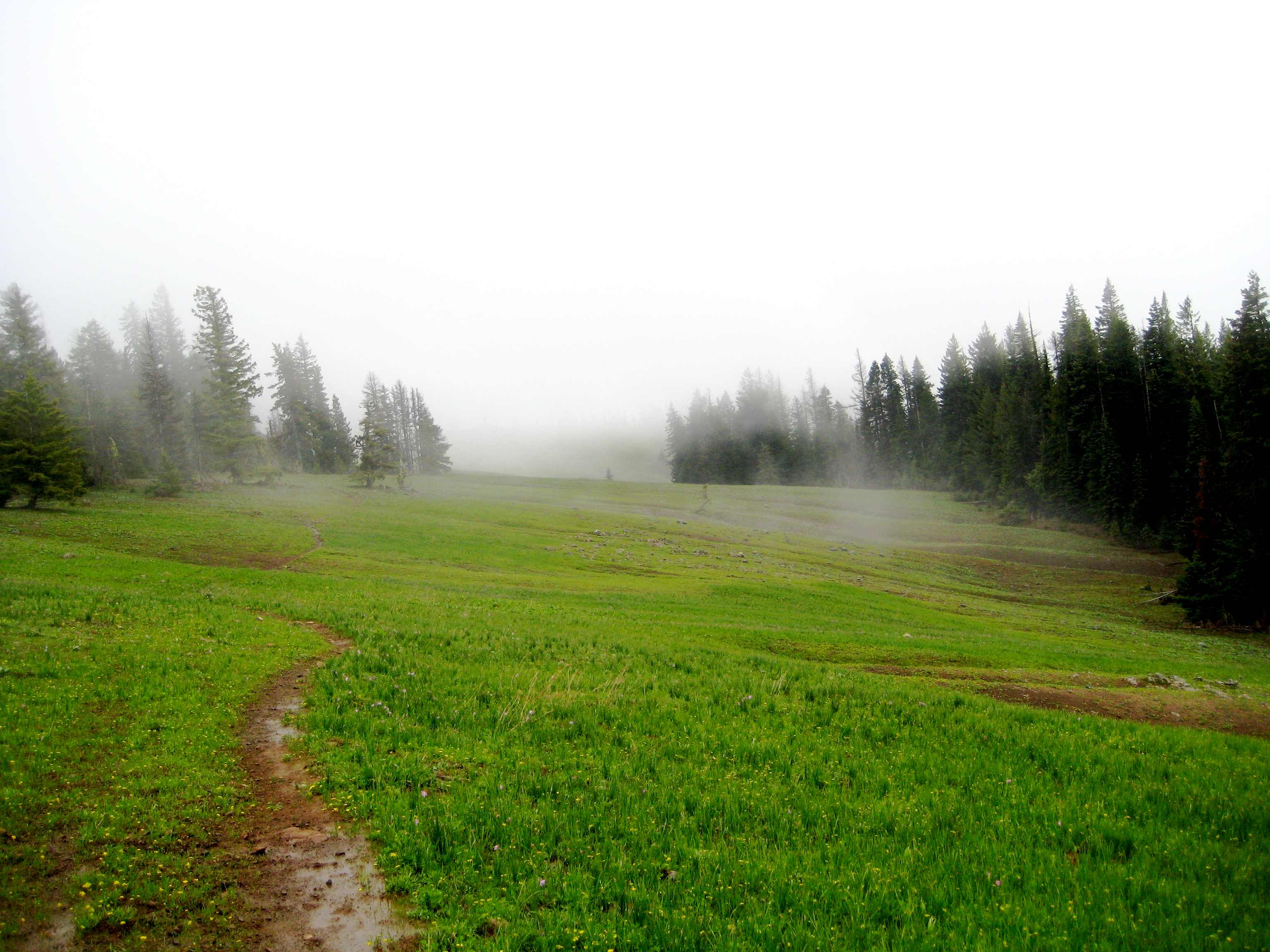 Wickiup Campground