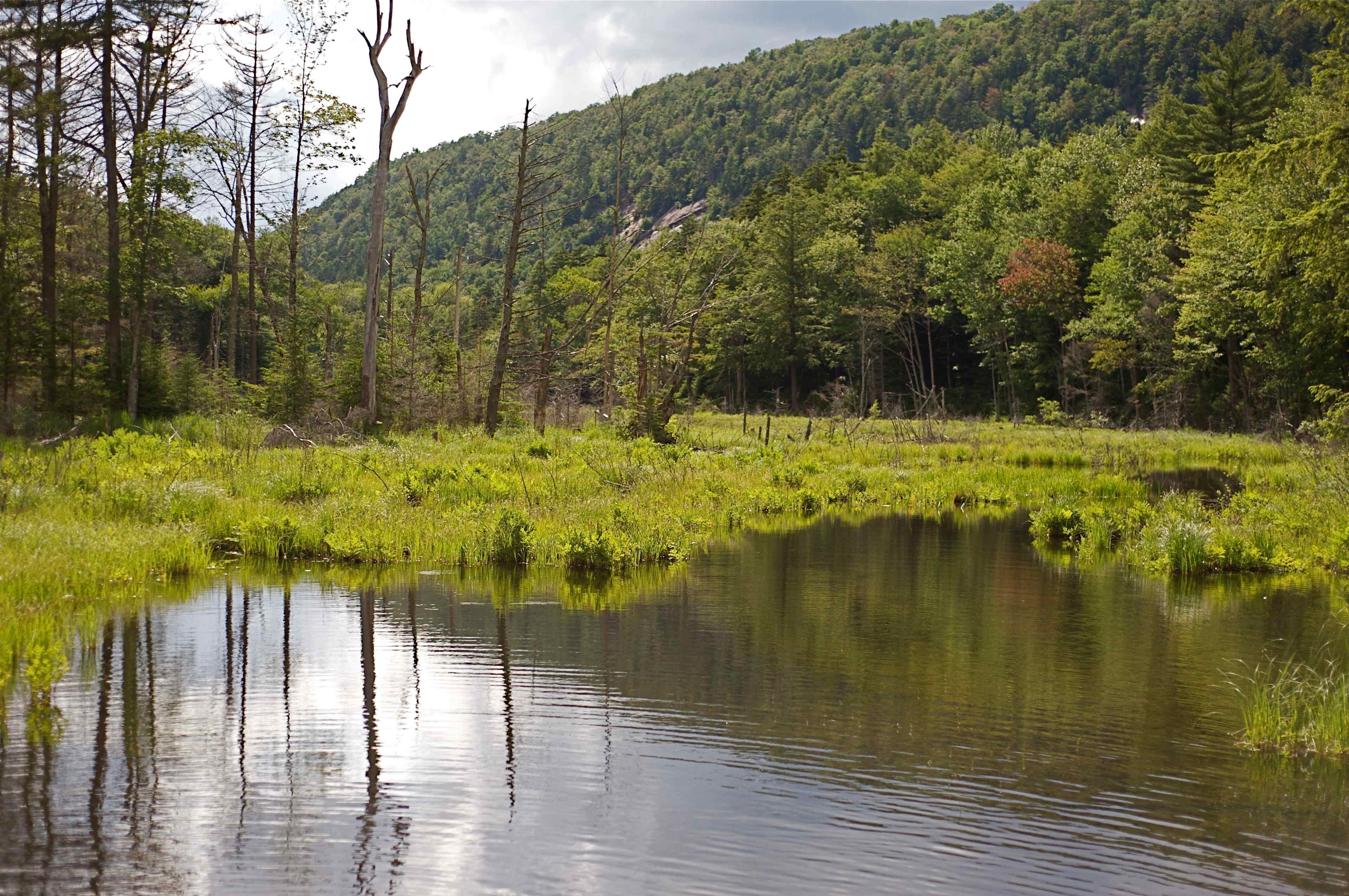 Lake George Battleground Campground