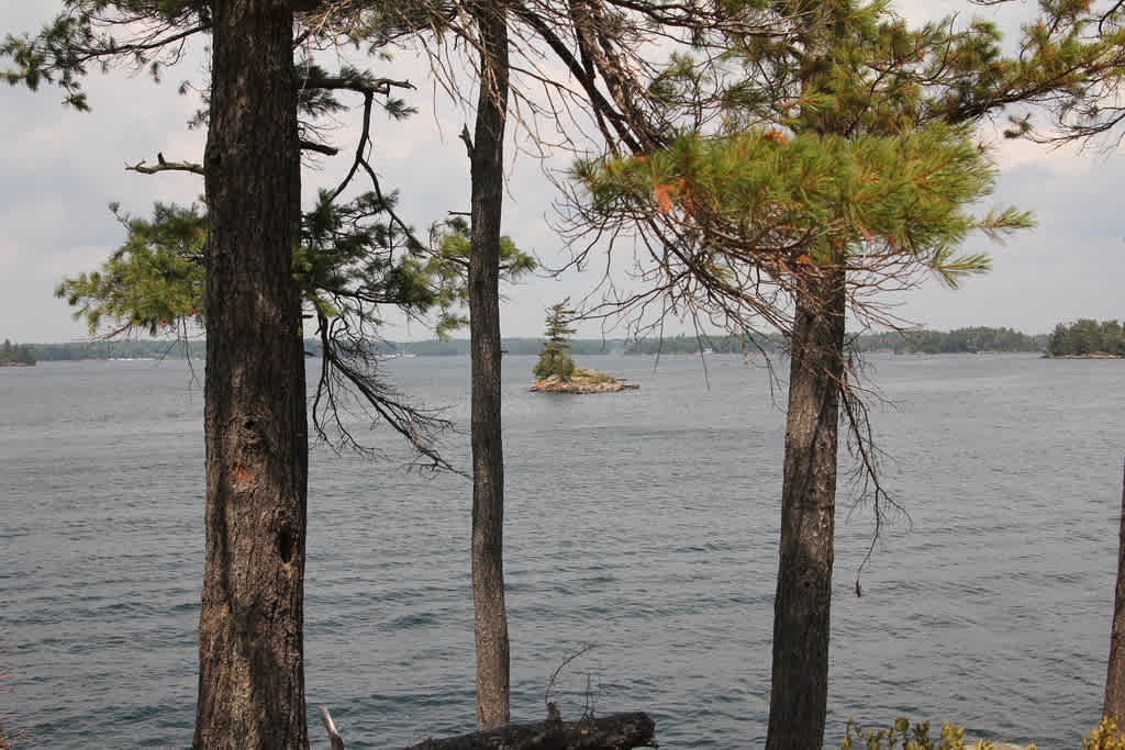 Wellesley Island State Park Campground