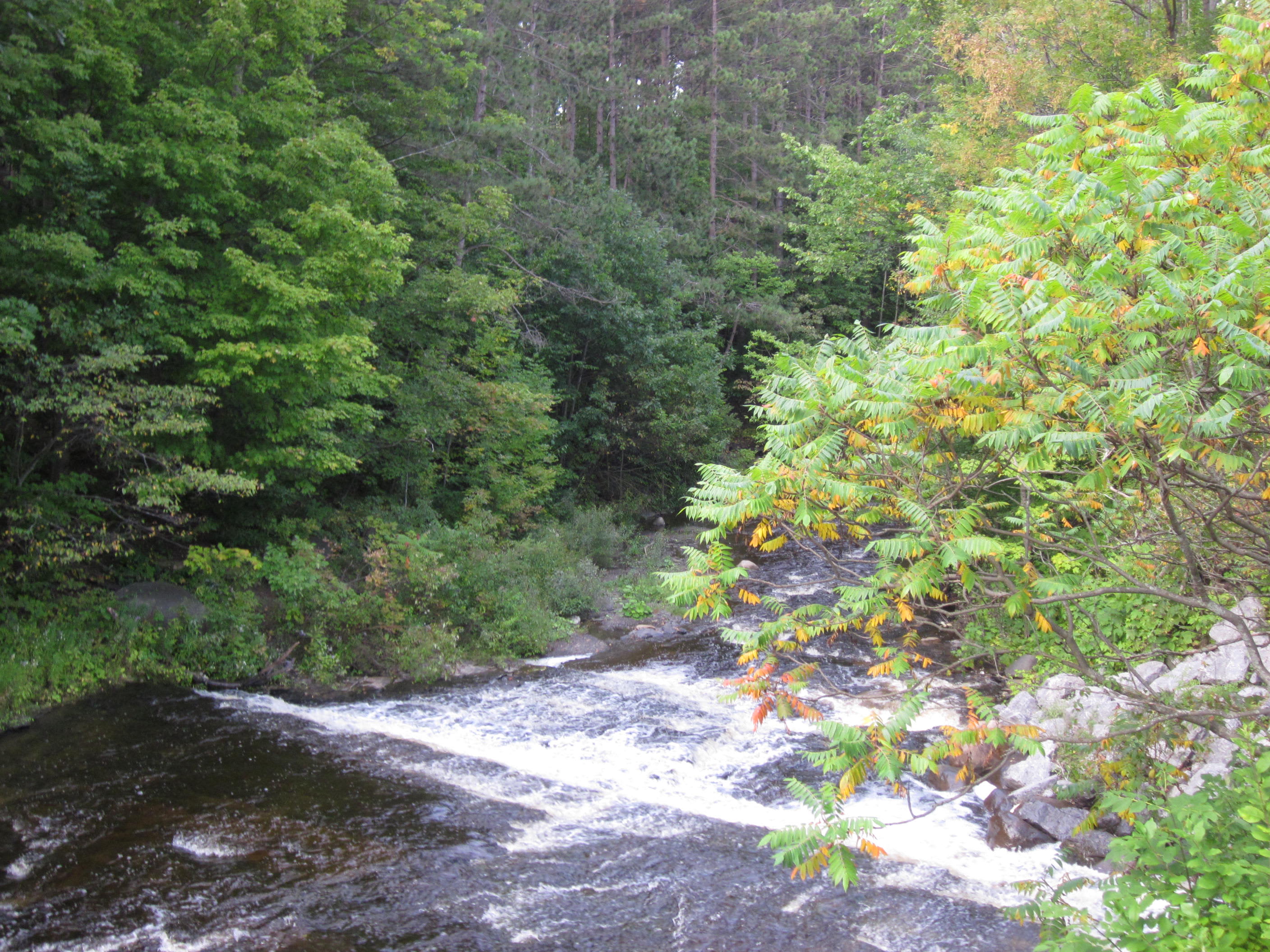 Whetstone Gulf State Campground