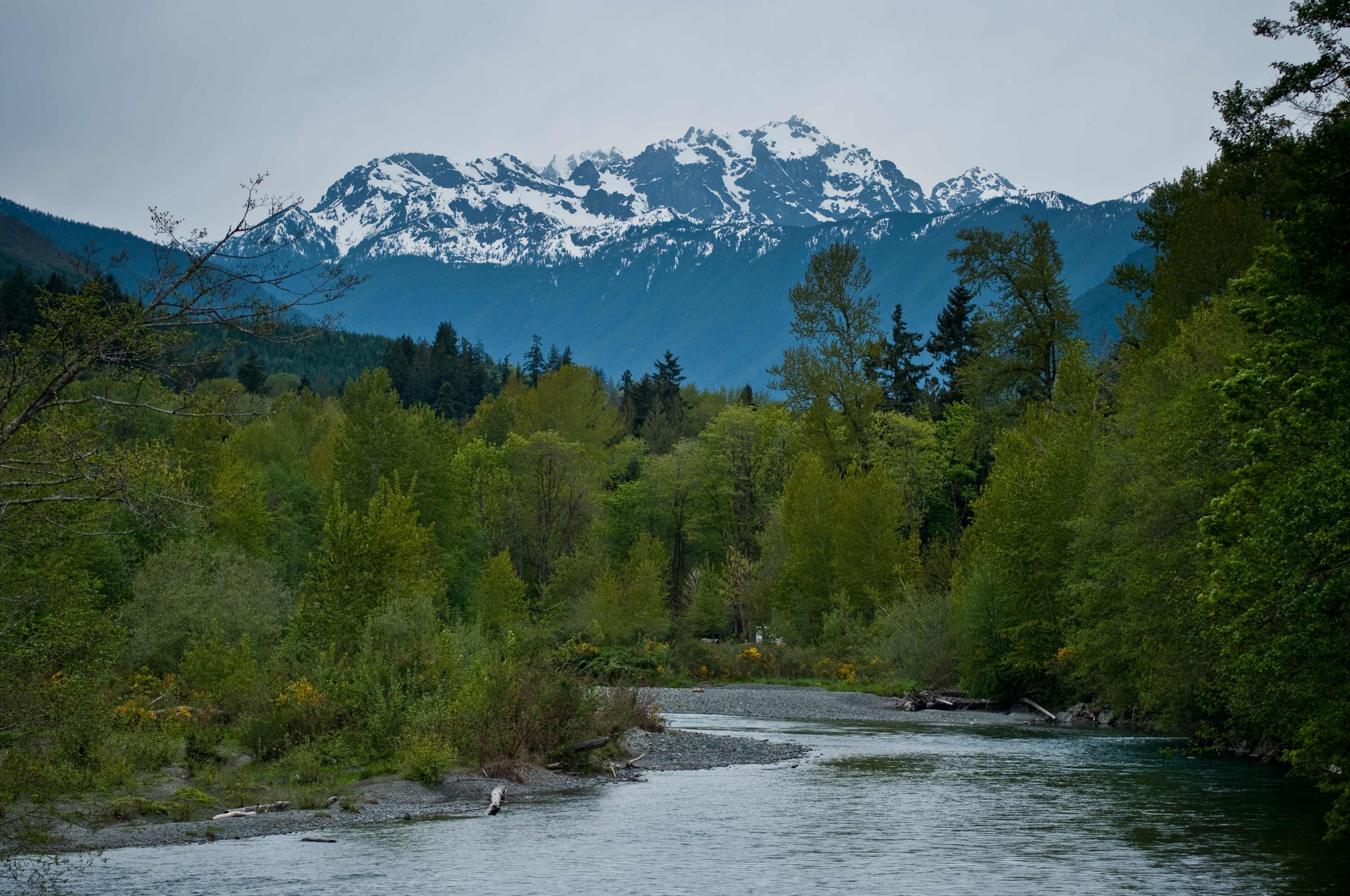 Dosewallips Campground