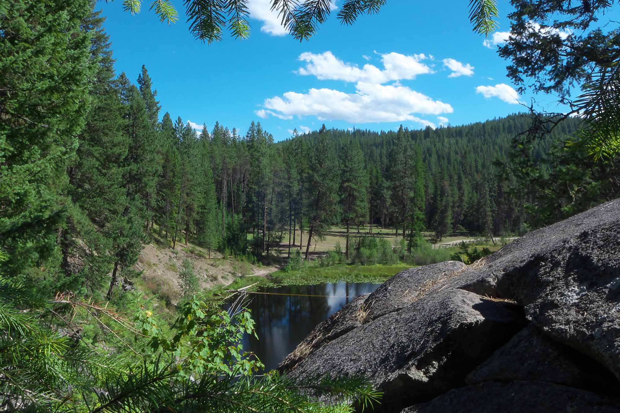 Colville National Forest