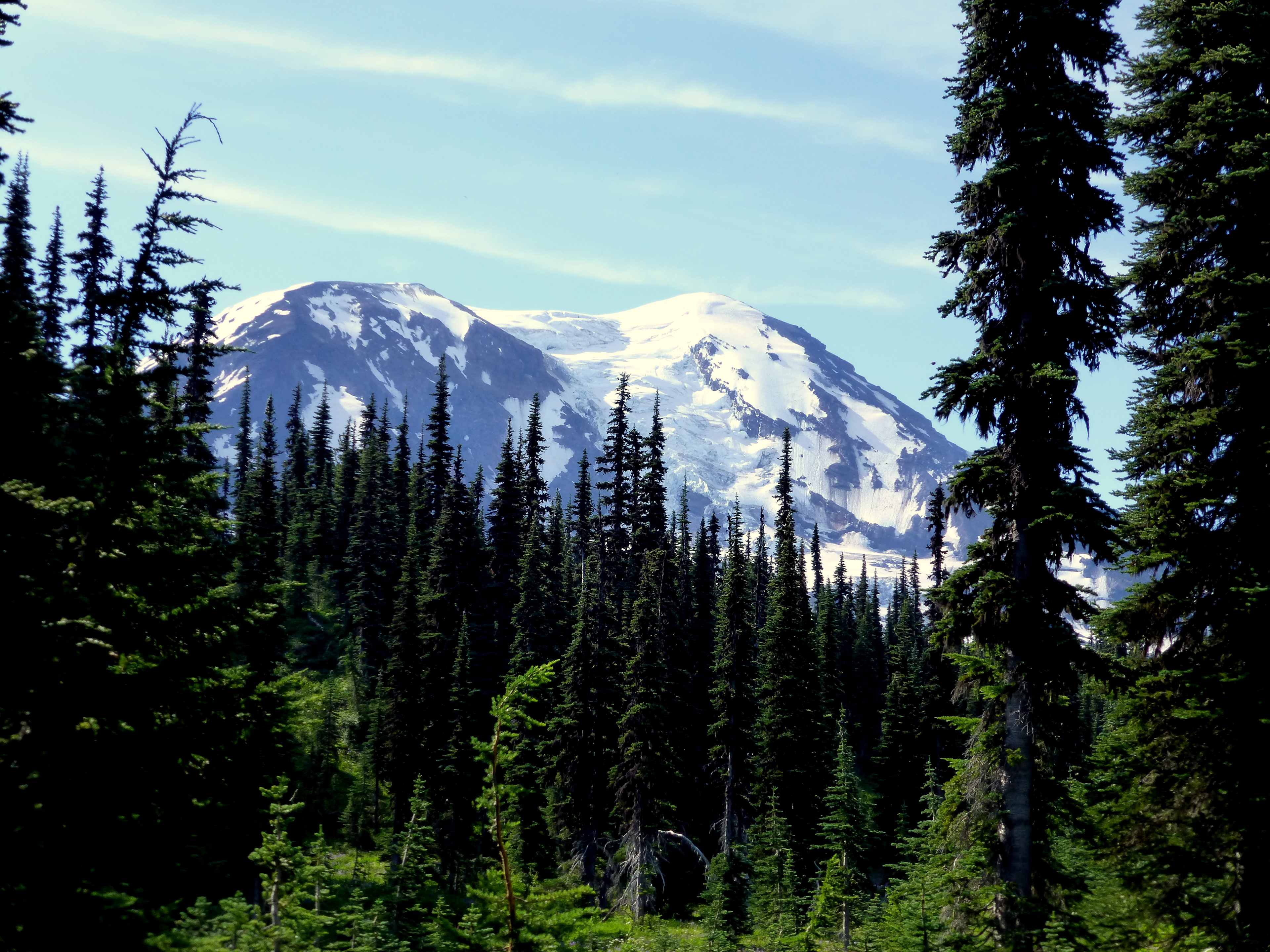 Forlorn Lakes Campground