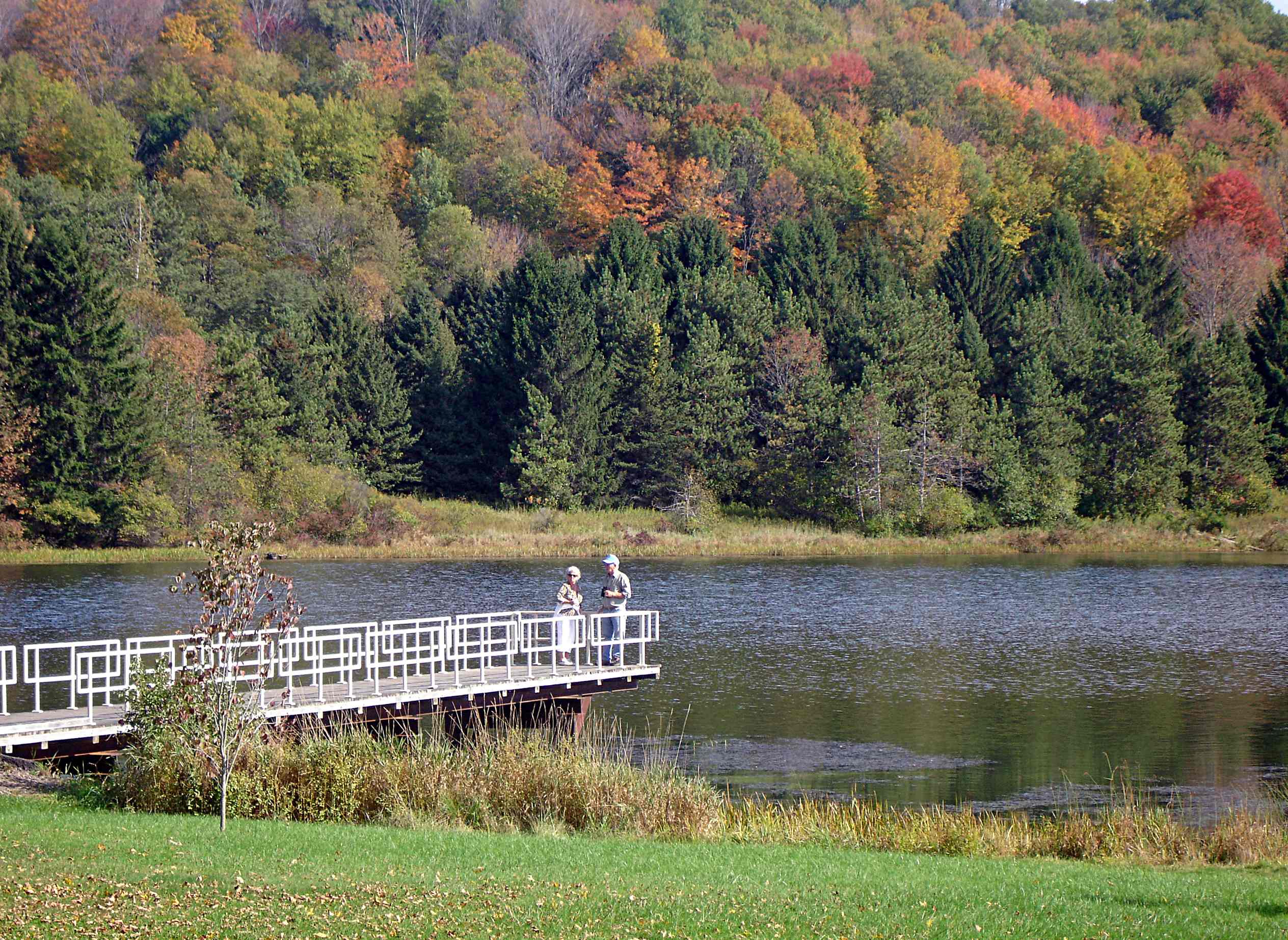 Lackawanna Park Campground