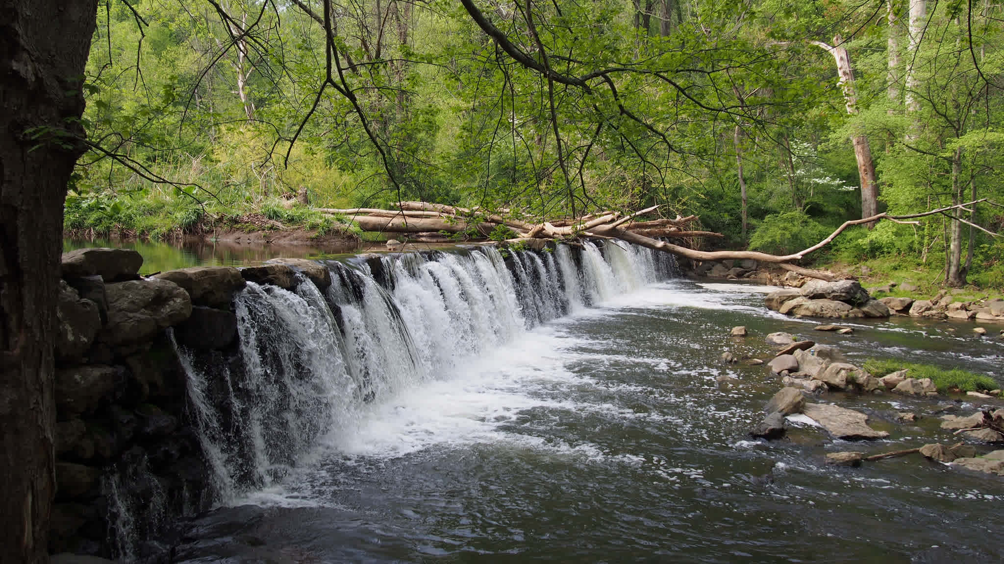 Ridley Creek State Park