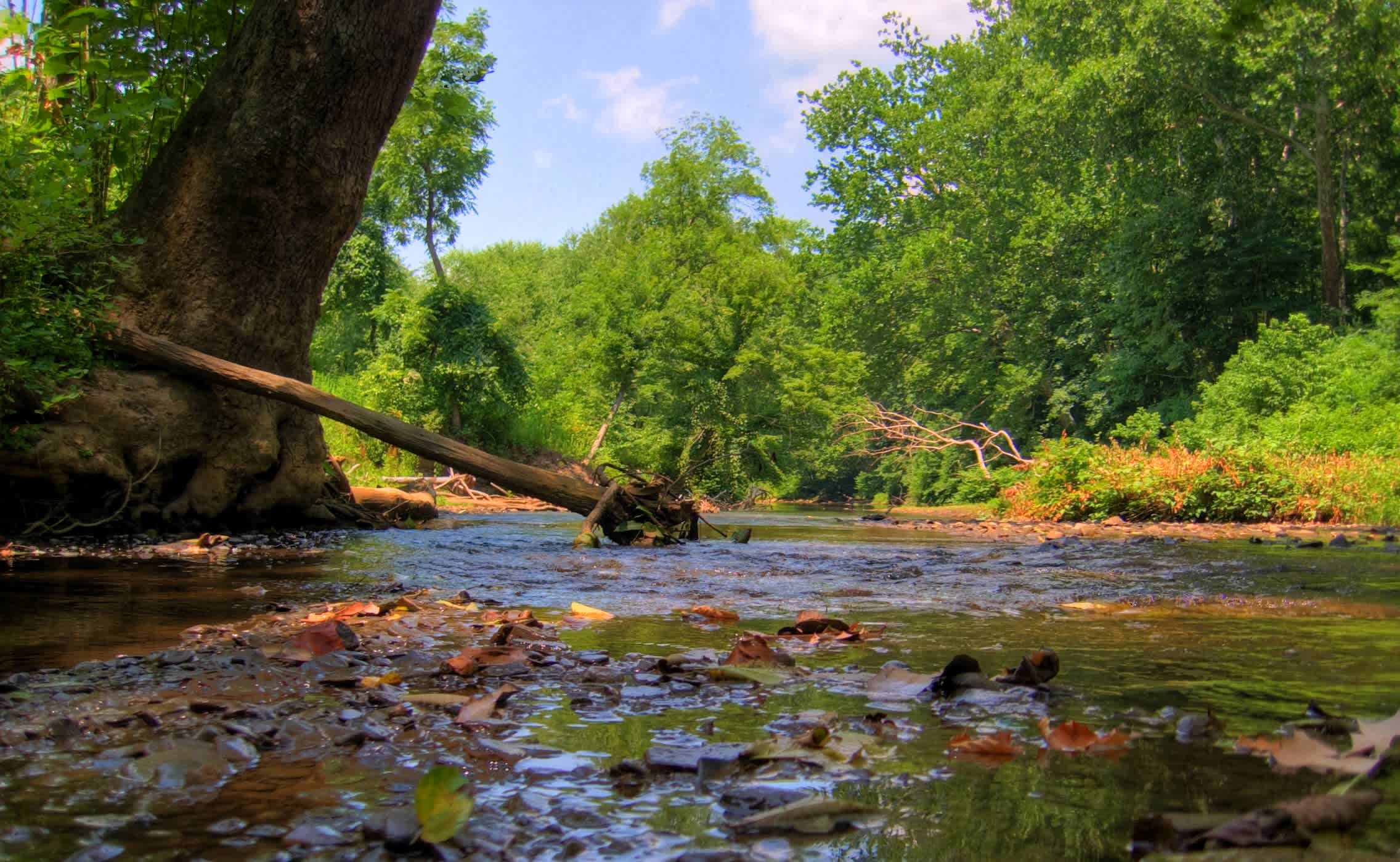 Raccoon Creek Park Group Campground